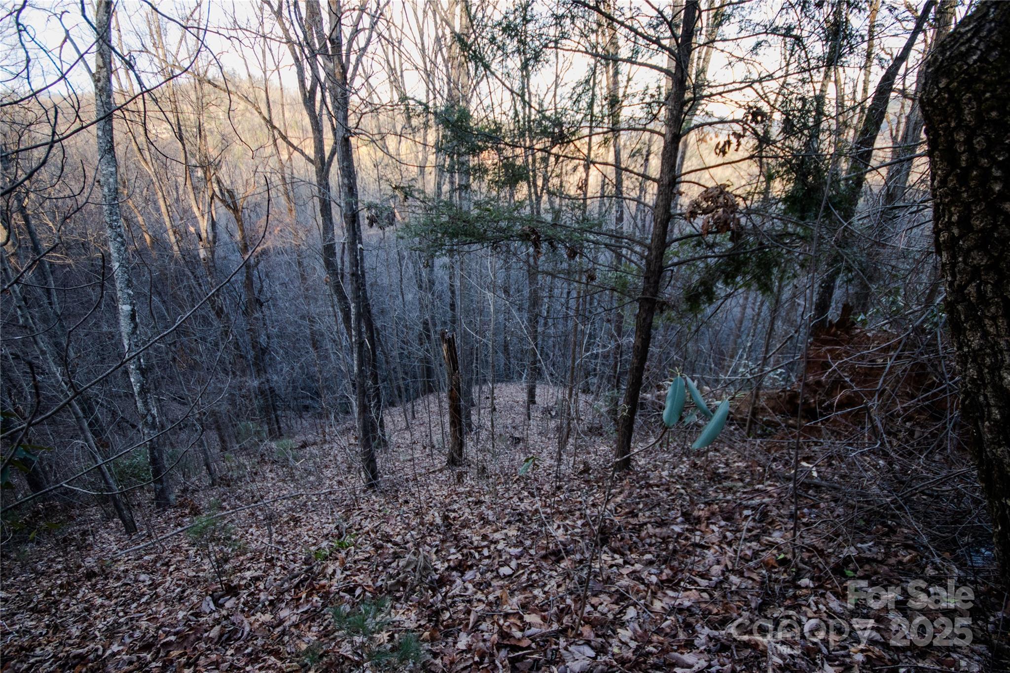 Timber Rock - Land