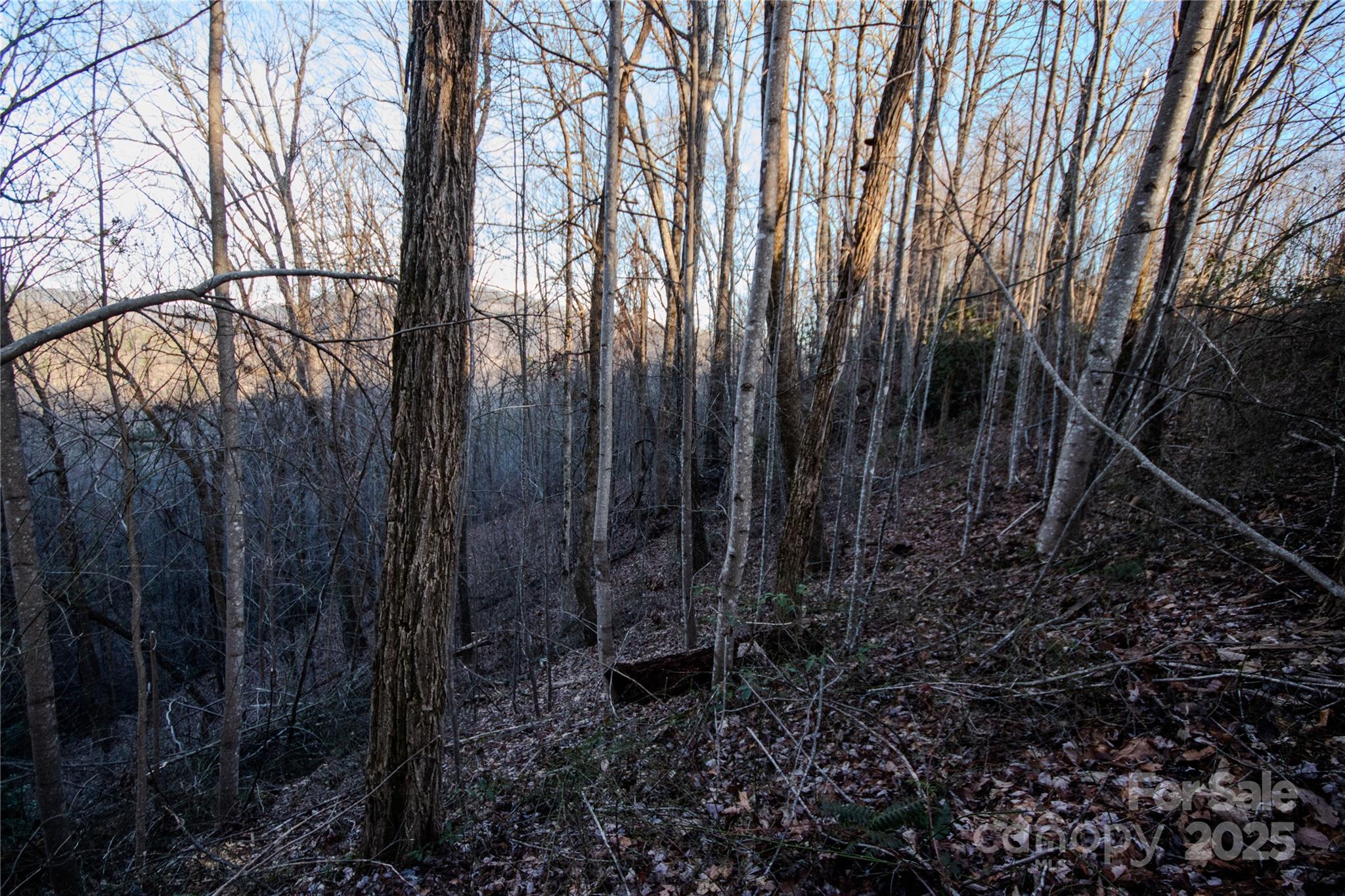 Timber Rock - Land