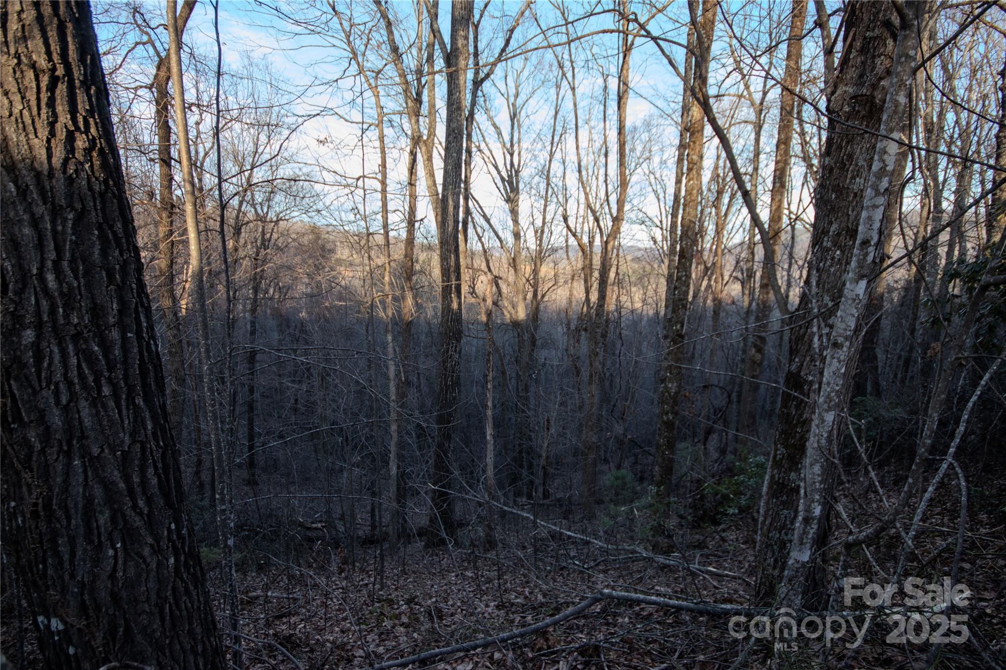 Timber Rock - Land