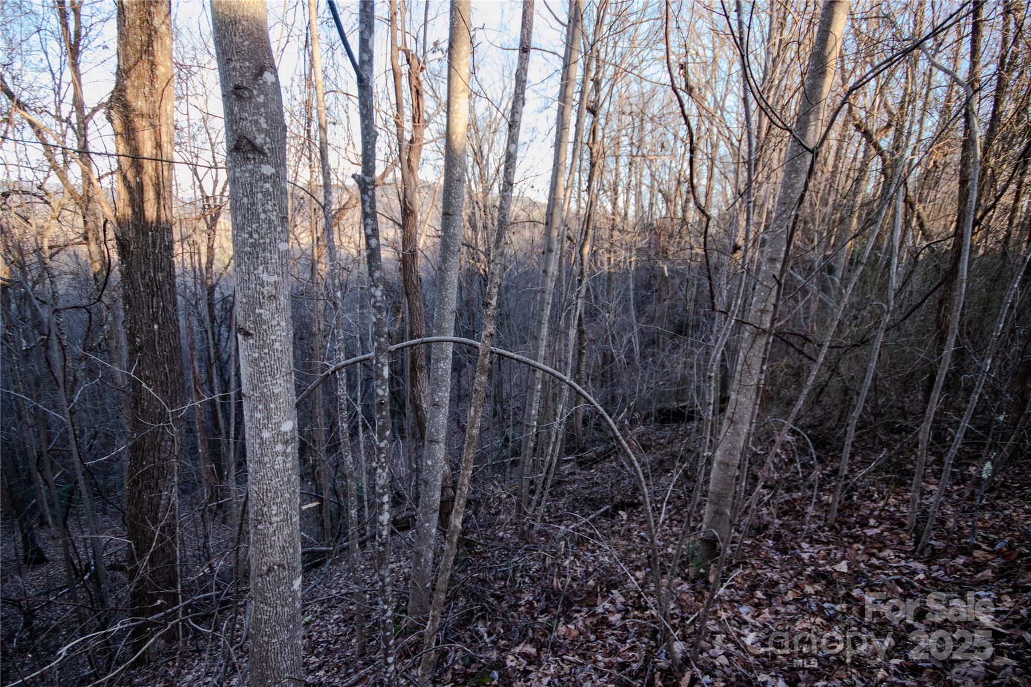Timber Rock - Land