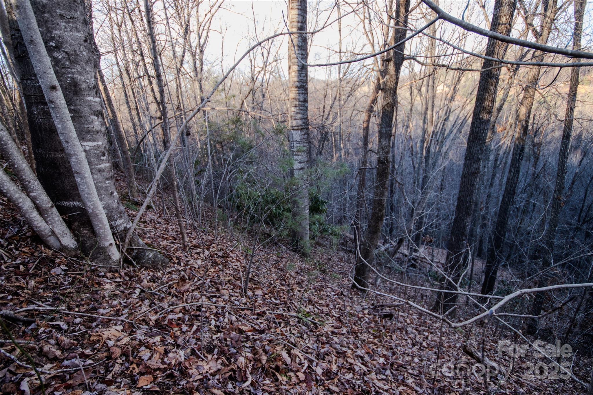 Timber Rock - Land