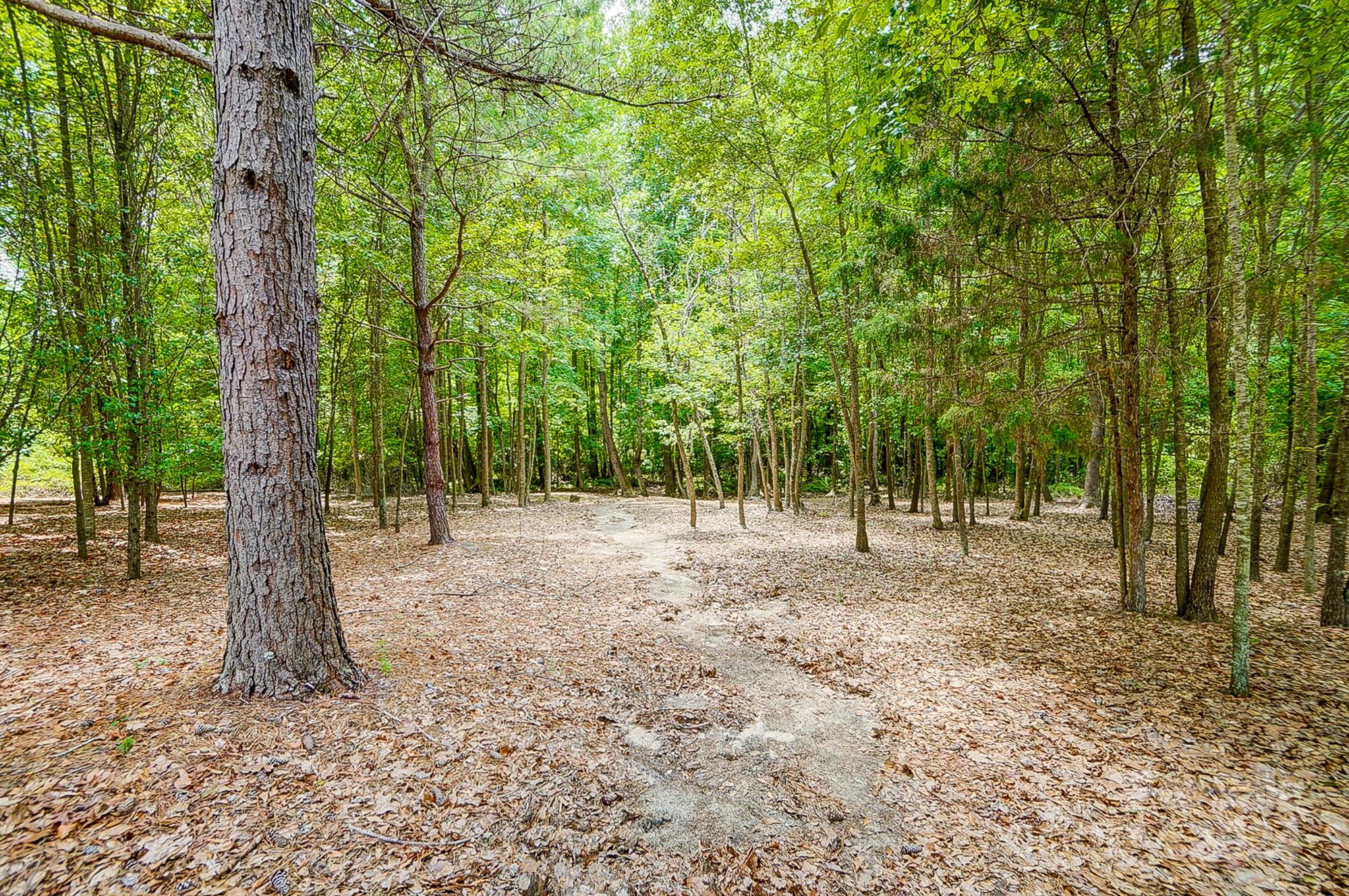 None - Residential