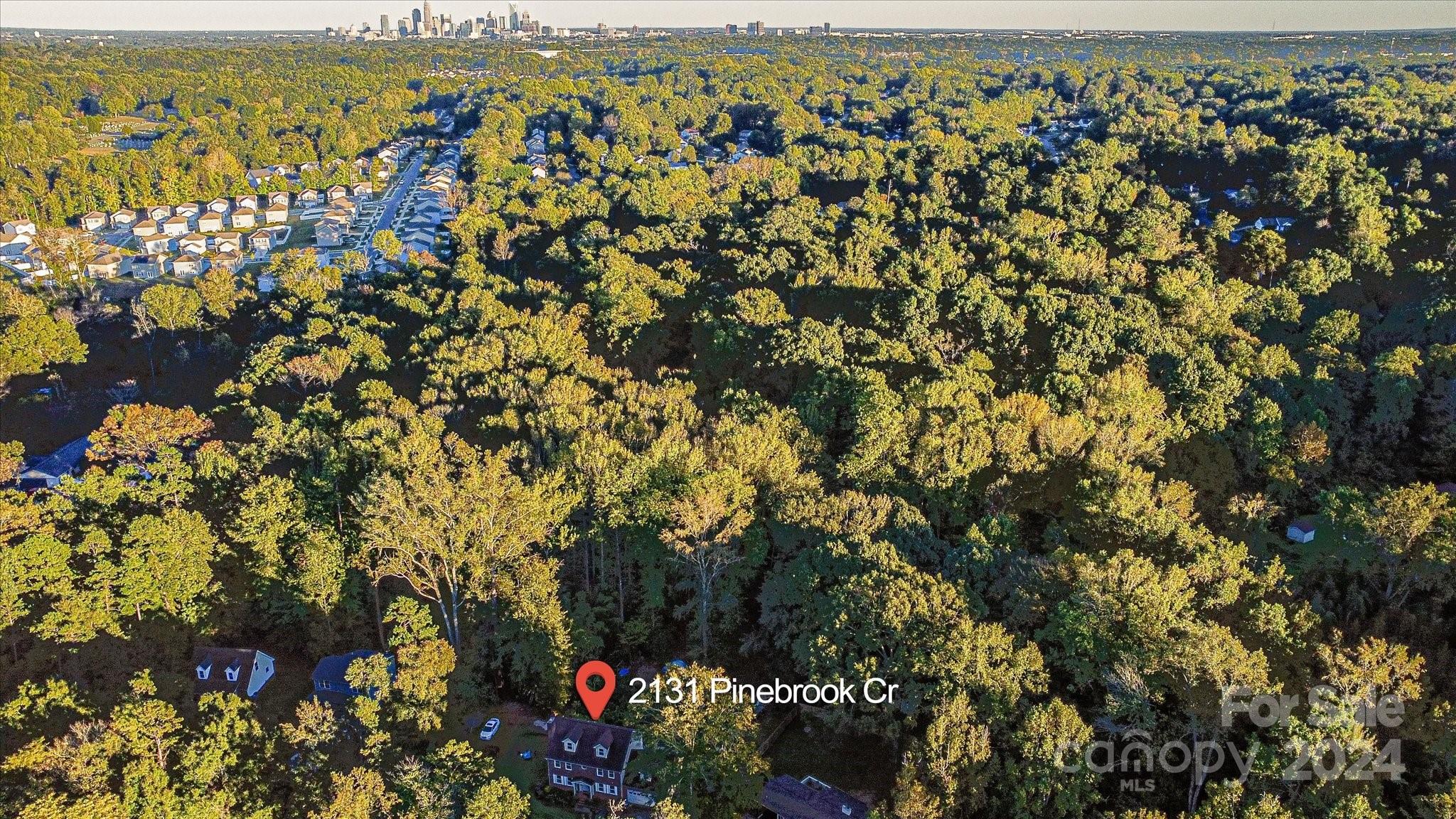 Lewis Forest - Residential