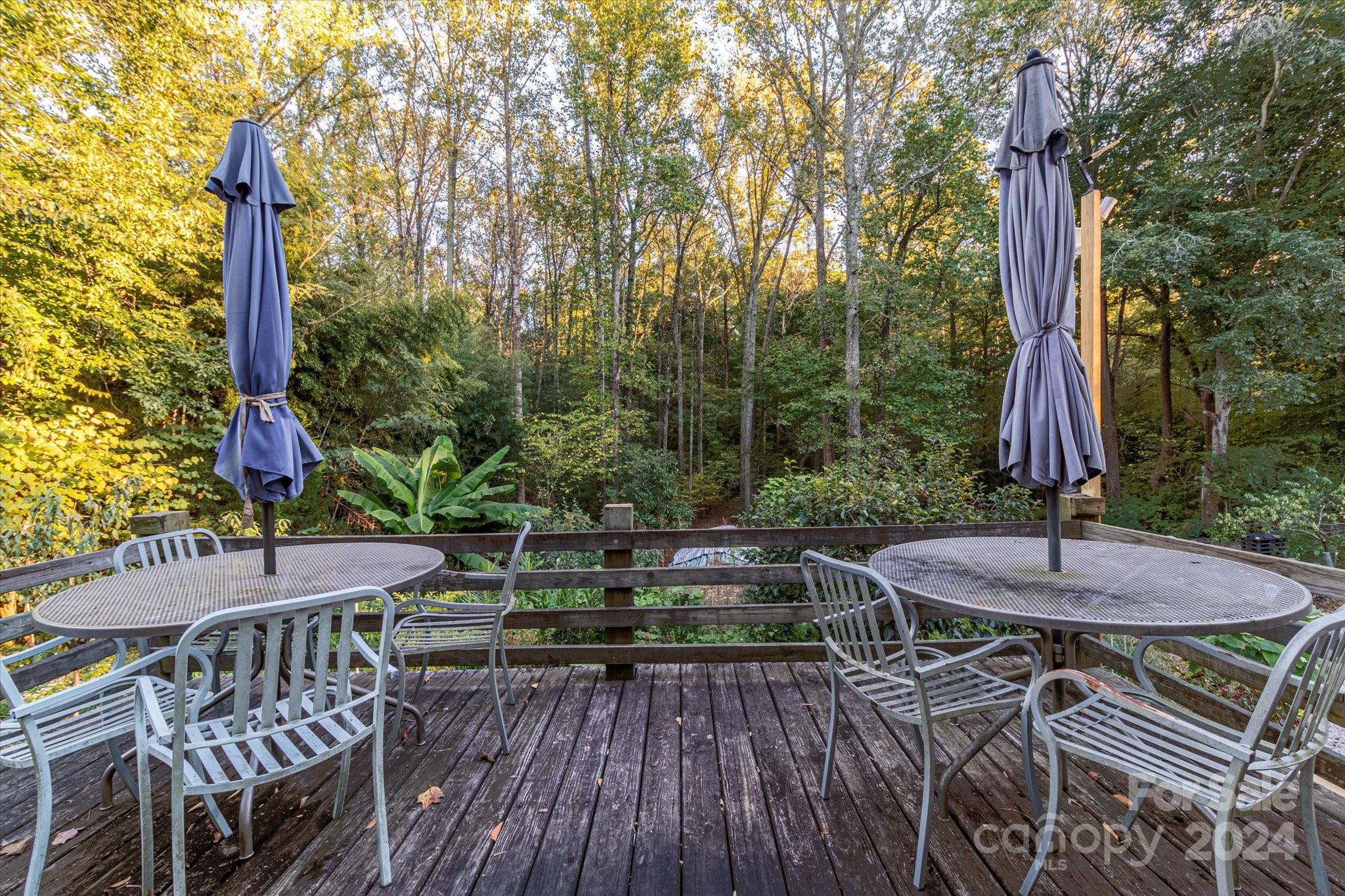 Lewis Forest - Residential