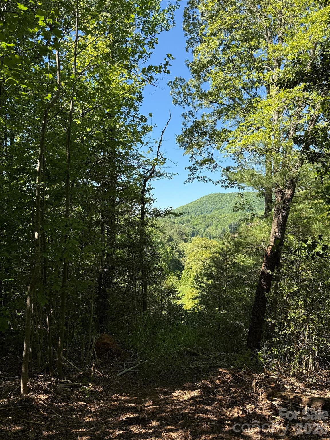 MASTERPIECE MEADOWS - Land