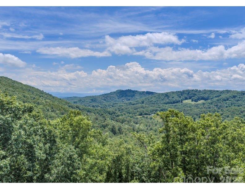 Poplar Ridge - Land