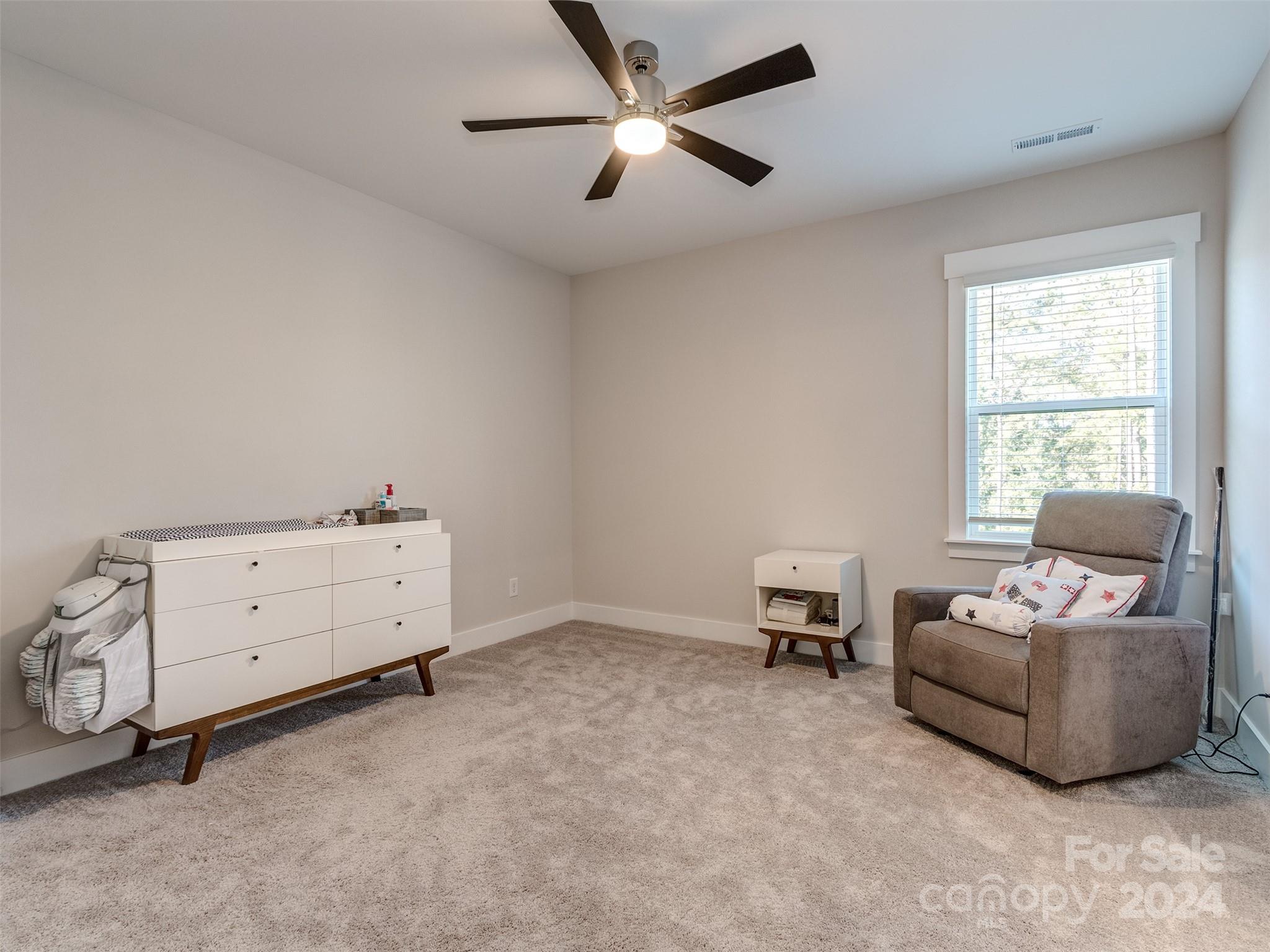 Handsmill On Lake Wylie - Residential