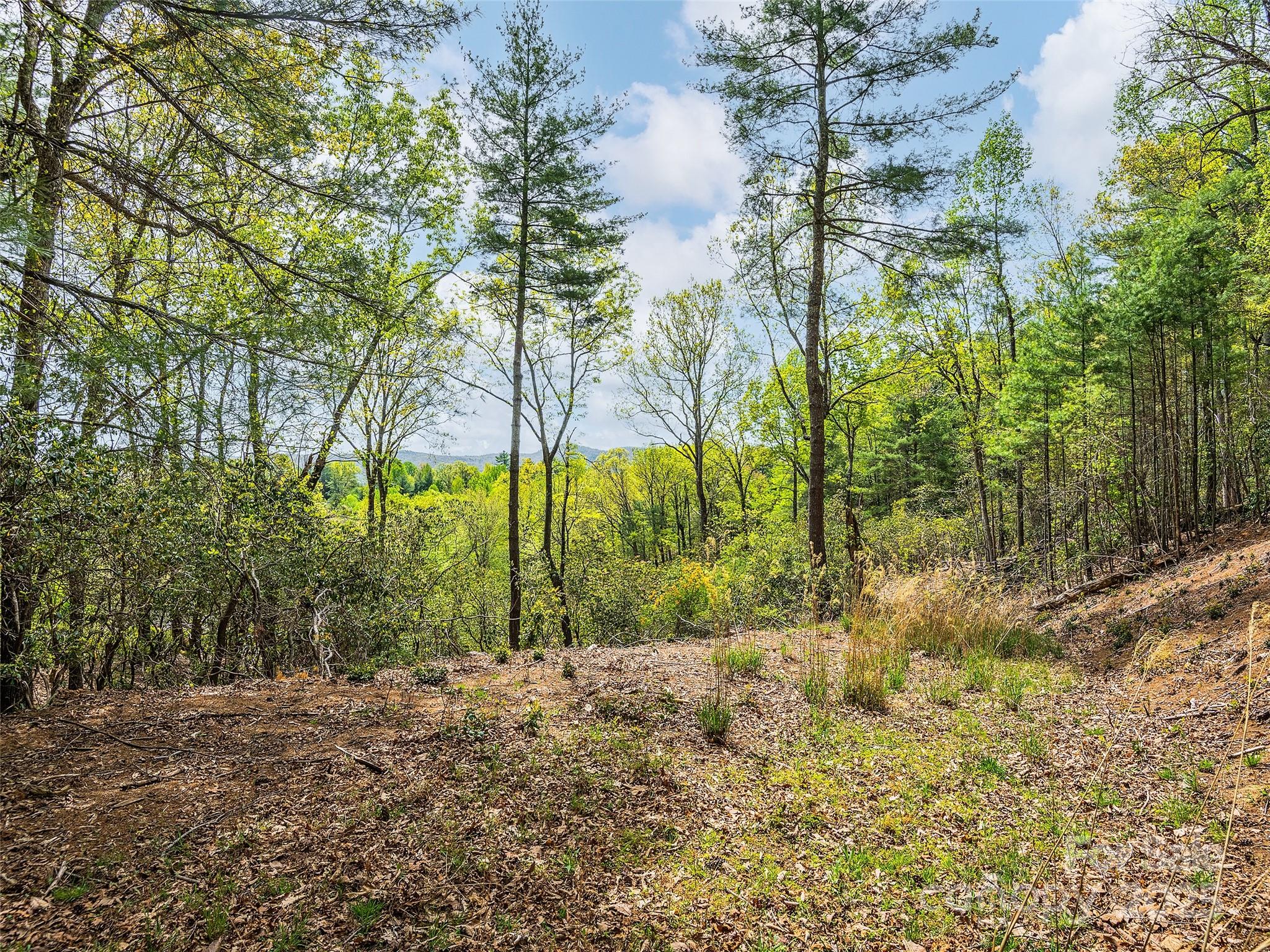 Discover the beauty and ambiance of Wilson Farm a private residential neighborhood conveniently located just 10 minutes to downtown Hendersonville, Flat Rock, and Dupont State Forest. This mountain community has a beautiful stone pillared entry and a tree lined drive through creeks and meadow areas. A beautiful place to call home. Lot 56 has its driveway already roughed cut in and it is perched high on the hill giving you beautiful year round southern mountain views. Situated at the end of the cul-de-sac for added privacy. This hard to find view lot is one of the best lots available in our area and so conveniently located! Come see this beautiful lot and neighborhood today!
