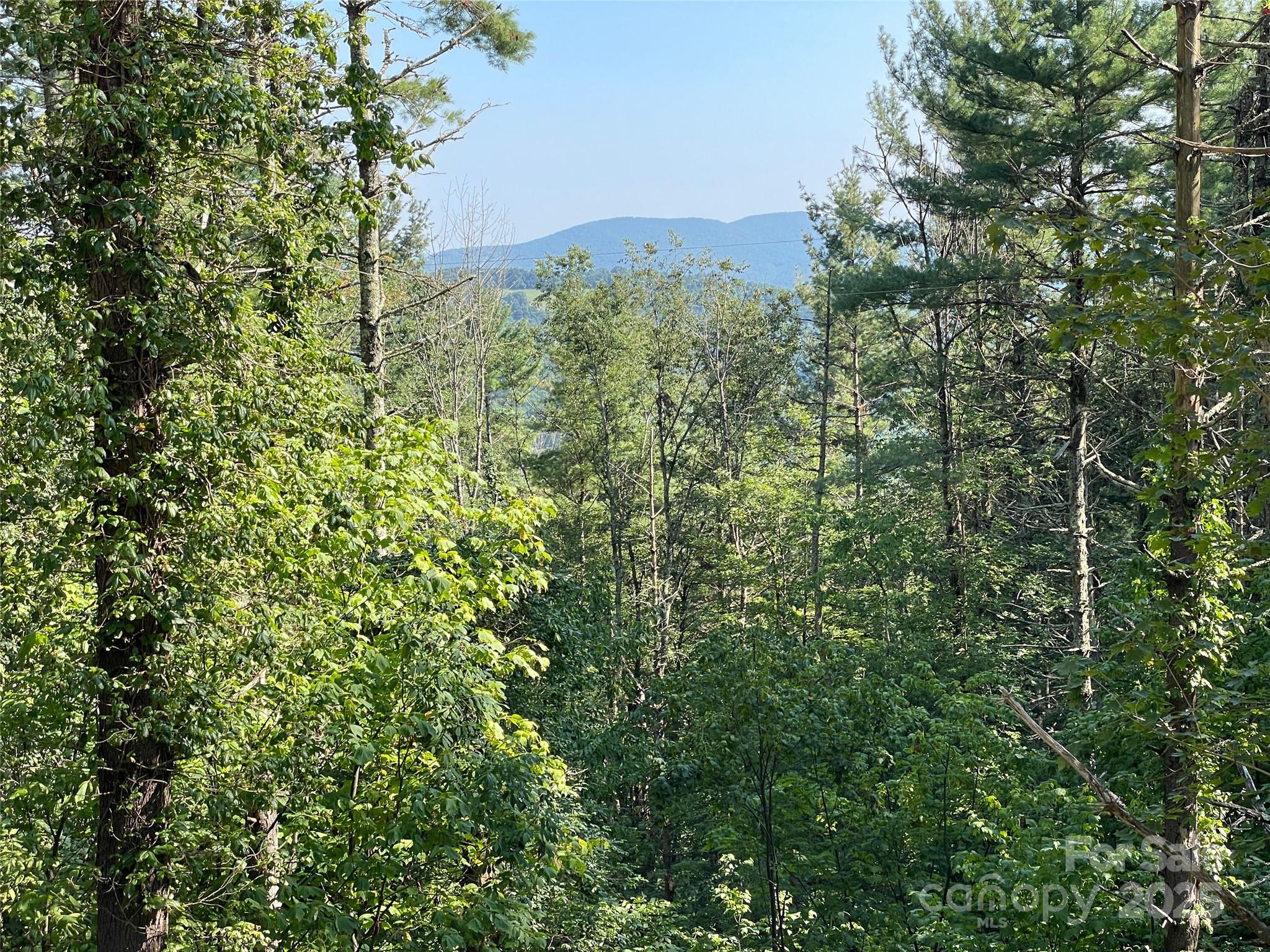 Eagles Nest - Land