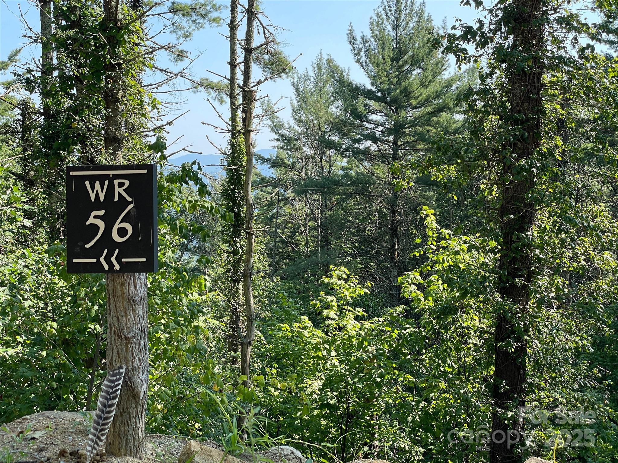 PRICE REDUCED! Lot 56 of the new West Ridge area at Eagles Nest boasts spectacular views and a gorgeous common area built around heirloom apple trees, open green space, walking trails and ponds. The many Eagles Nest amenities are close at hand: a fitness center, tennis and other sports; a dog park; ATV, biking and hiking trails; fishing; and more. Enjoy the seasonal concerts, a pub with TVs for the sports fan, and even a winery a mere six minutes away from Lot 56! West Ridge is set slightly apart from the main development, giving it a small neighborhood feel. It opens onto a public road, making it easy to get to nearby Banner Elk or Beech Mountain. Lot 56 is 1.311+/- acres of sloping terrain with mature trees, wildflowers and stunning ridgeline views. Nestle your dream home into this private nook in the mountain.  Greet the glorious morning sunlight with a yoga routine, or pull out your easel, laptop or book and enjoy the cool afternoon breezes! See https://eaglesnestatbannerelk.com/