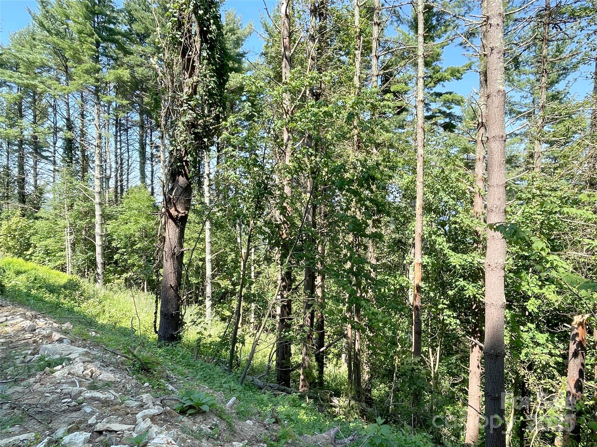 Eagles Nest - Land