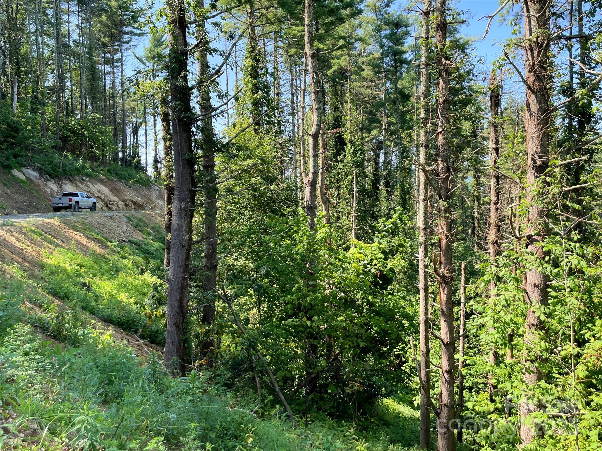 Eagles Nest - Land