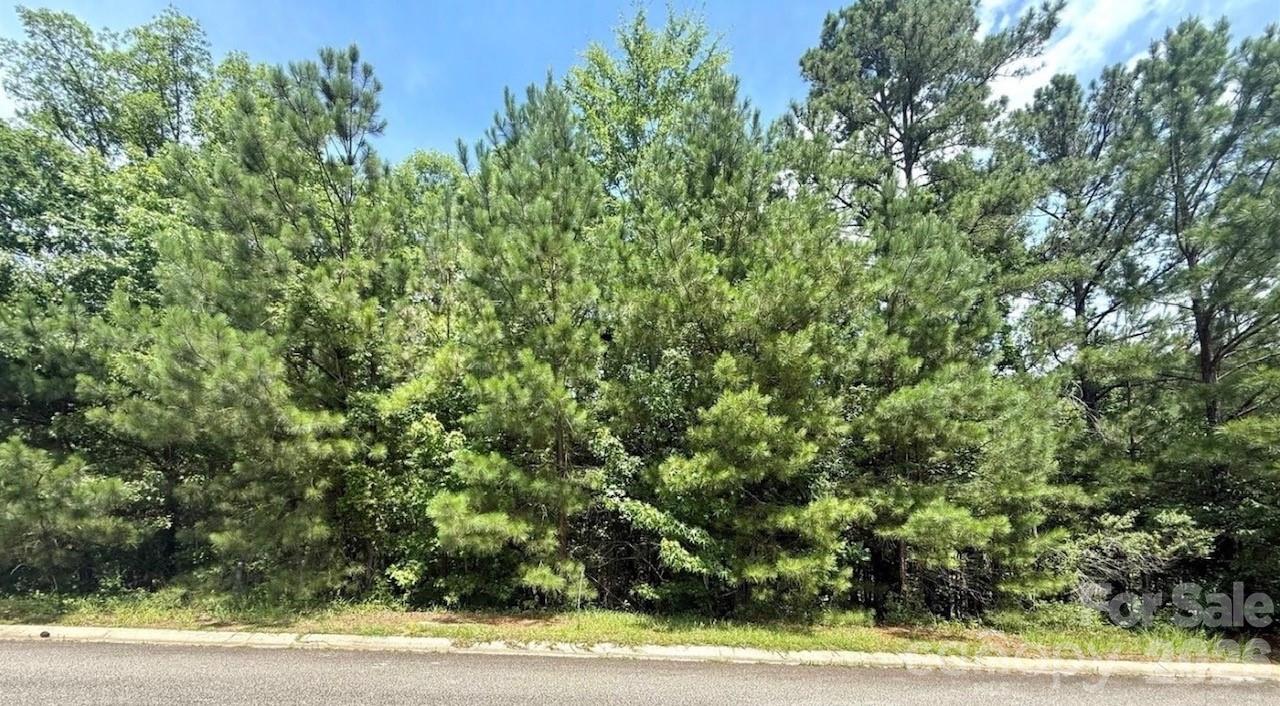 Two lots being sold separately next to each other in the College Place neighborhood.  Lots have water and sewer access.  Taps will need to be purchased by the buyer. College Place requires a minimum build size to be at least 1,600 square feet.  The lot is best suited for a tall crawl space or basement foundation.  A great location close to 521 for easy access, USC Lancaster, grocery stores, restaurants, shopping centers, hospital, and other amenities.
If a builder is needed, I can help with that.