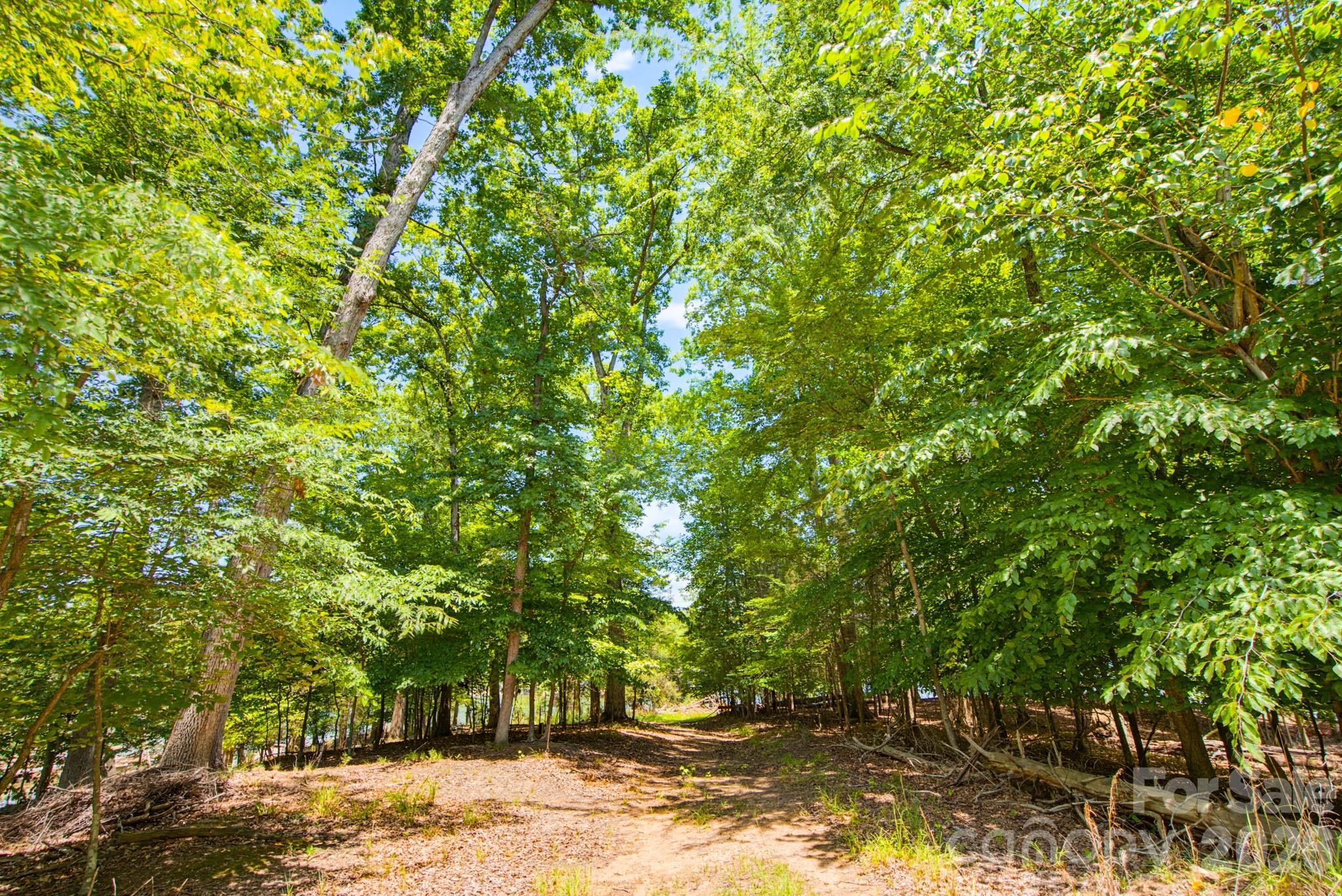 McLean - South Shore - Land
