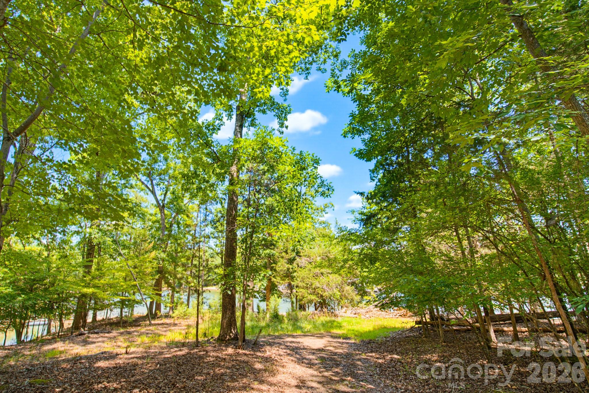 McLean - South Shore - Land