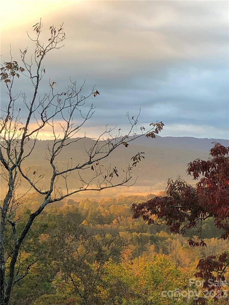 Straus Park - Land