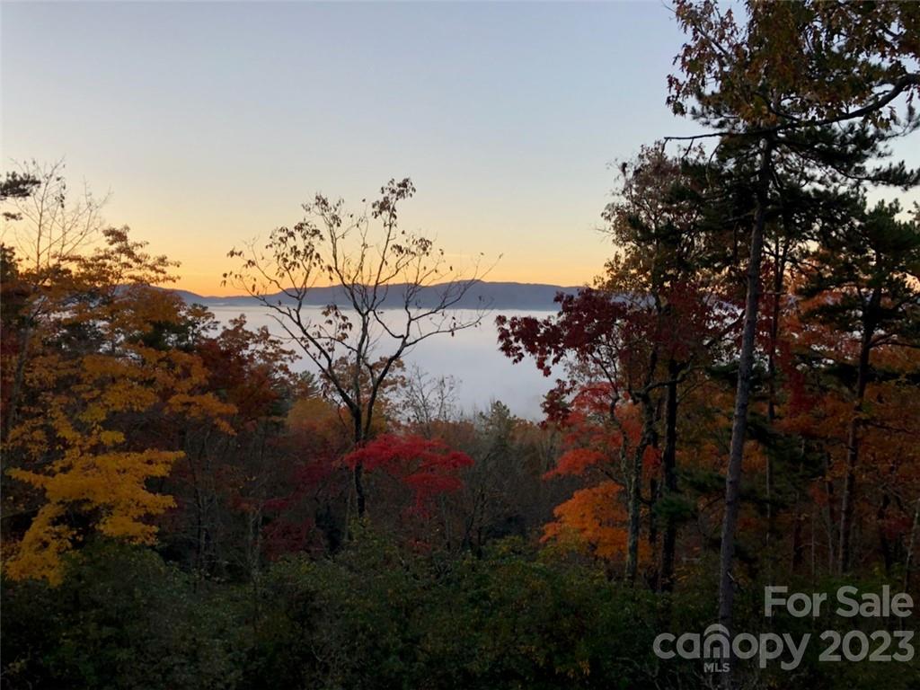 Straus Park - Land