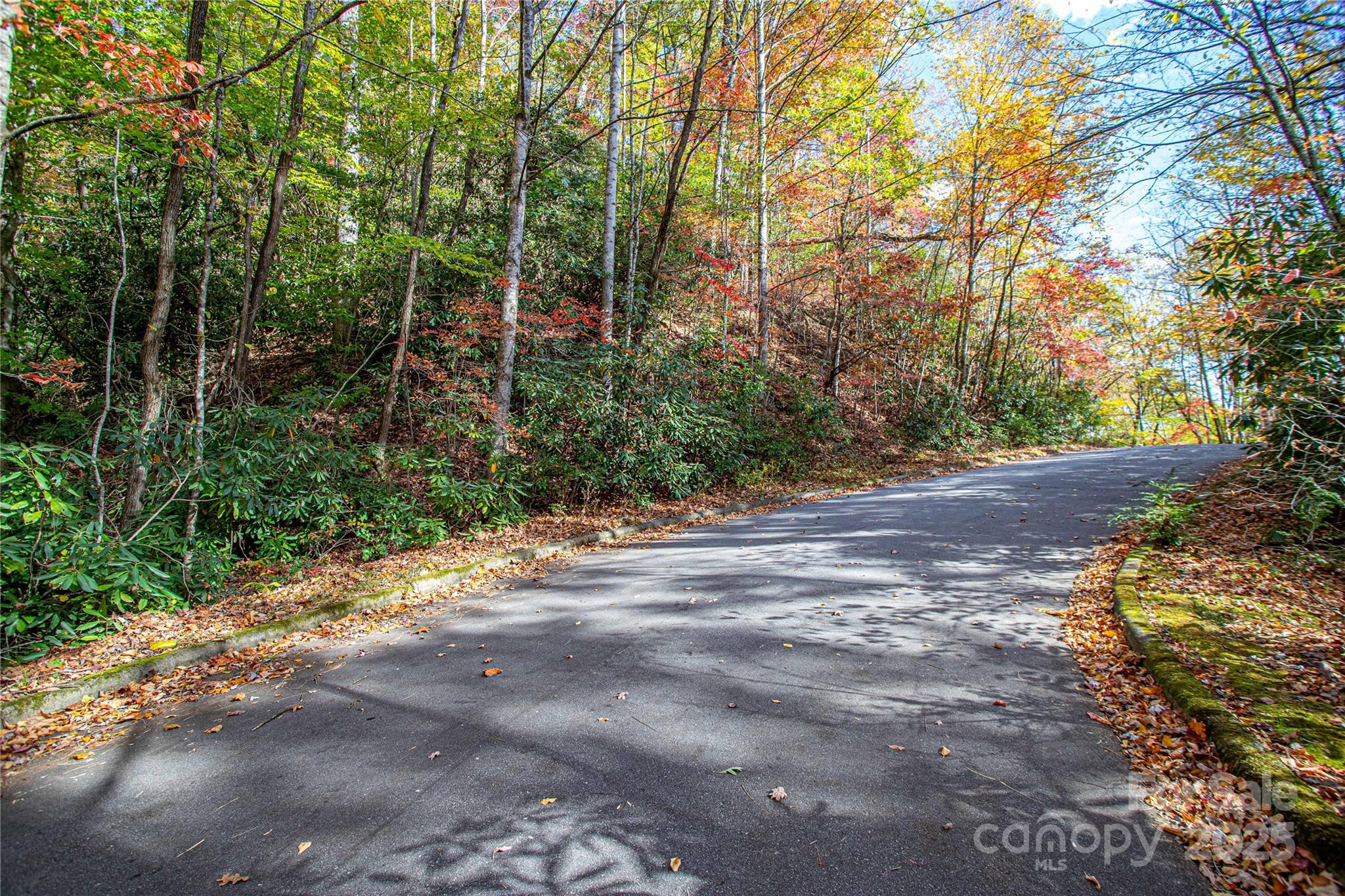 Located in the sought-after Deerlake Village community, this 1.74-acre wooded homesite offers the rare opportunity to build your custom home in one of Brevard’s most desirable in-town neighborhoods. Nestled among mature trees at an elevation between 2,500 and 3,000 feet, this lot provides both privacy and convenience with city amenities nearby. Deerlake Village offers paved roads, a serene lake, walking trails, clubhouse, and swimming pool—creating a tranquil yet connected lifestyle. The property allows for a minimum 2,000-square-foot home, ensuring architectural consistency throughout the community. Enjoy the perfect balance of natural beauty and proximity to downtown Brevard, local shops, restaurants, and Pisgah National Forest.