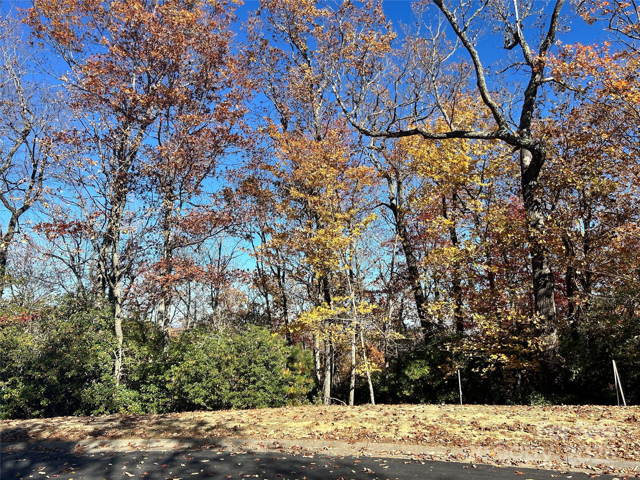Homestead At Mills River - Land