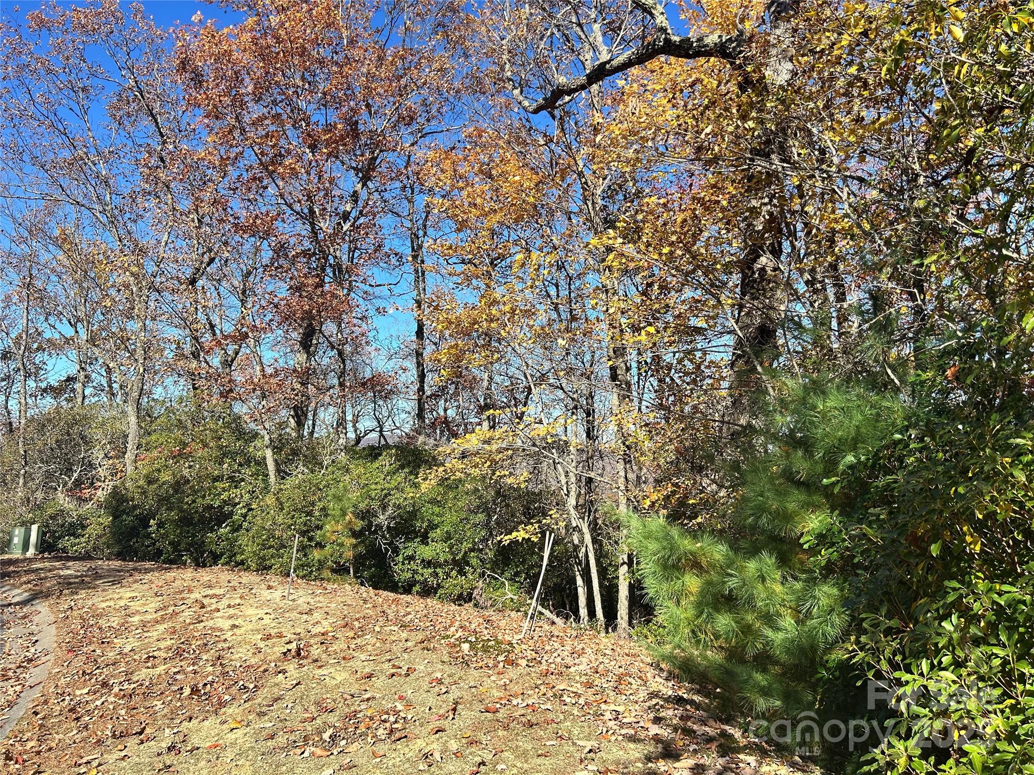 Homestead At Mills River - Land