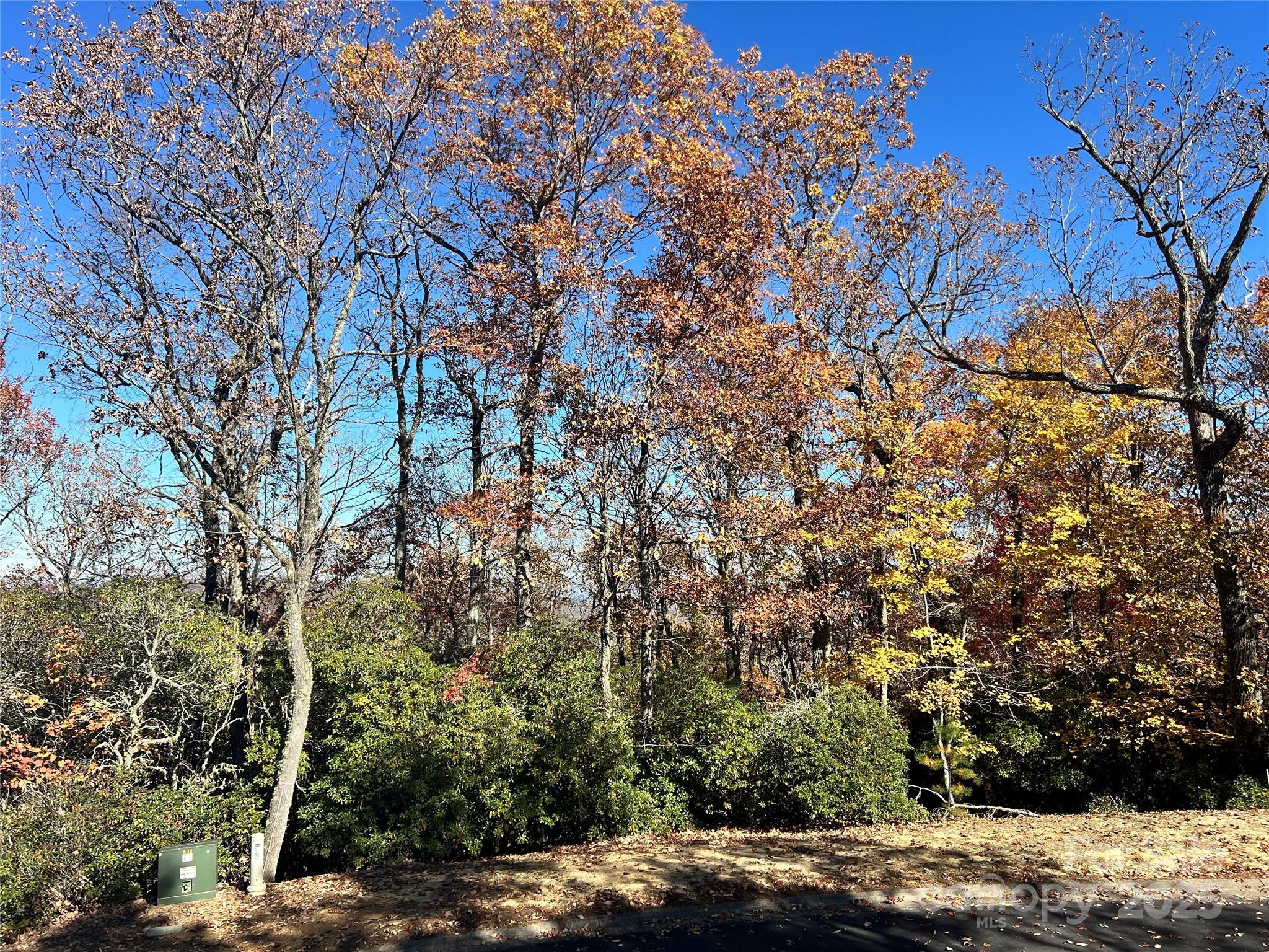 Homestead At Mills River - Land