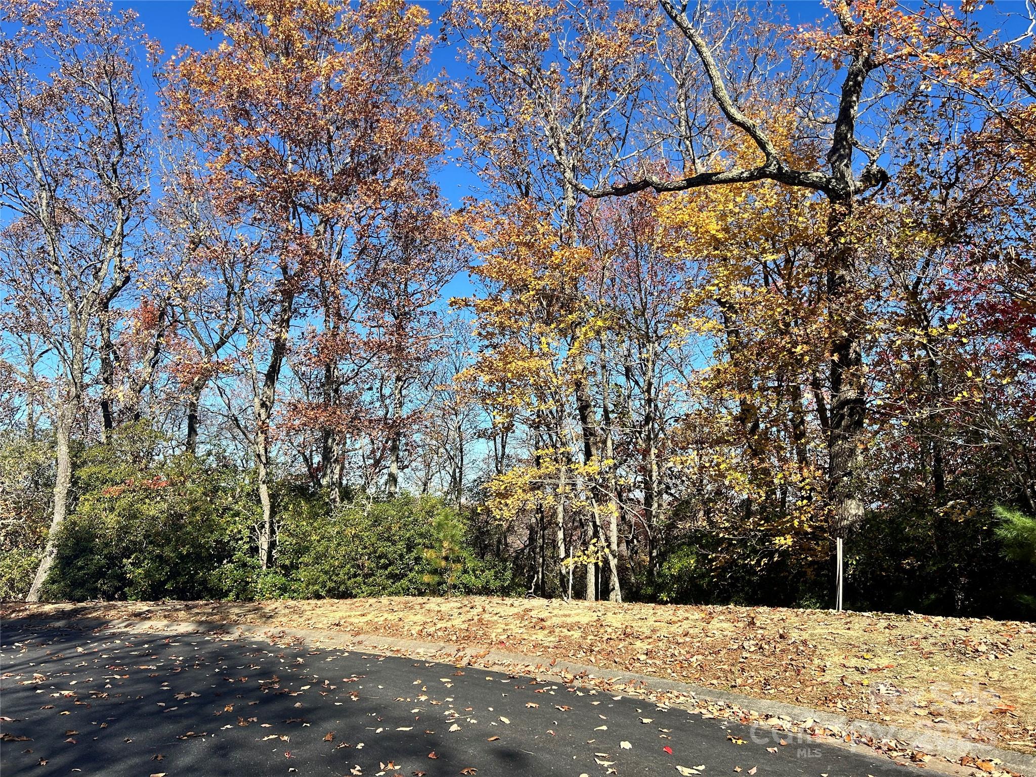 Homestead At Mills River - Land