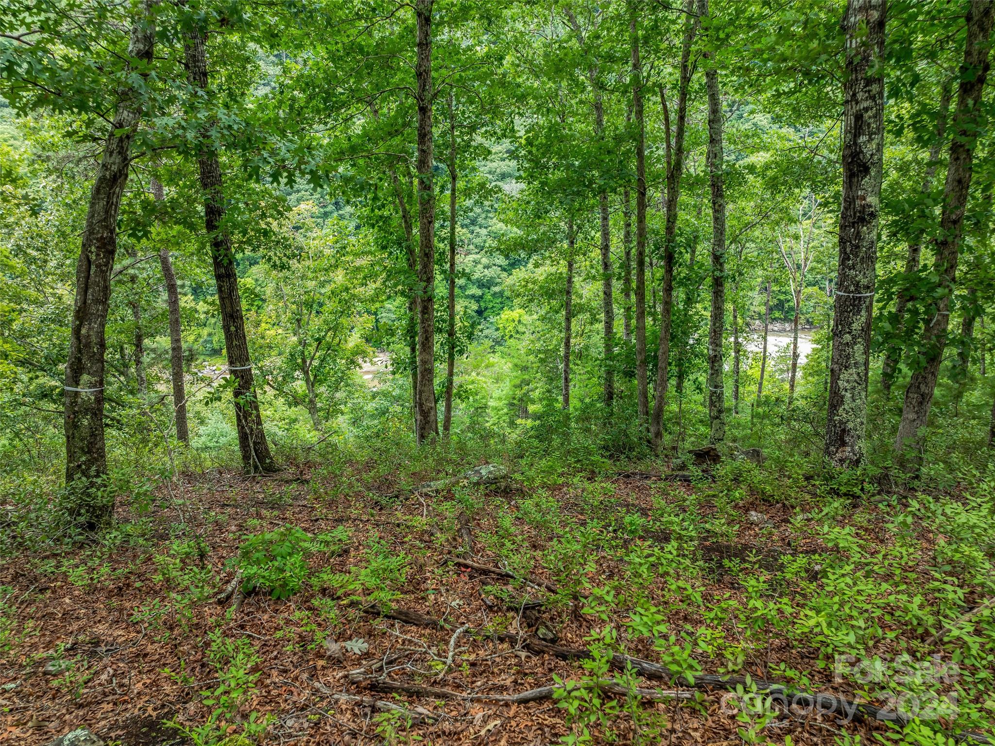 French Broad Crossing - Land