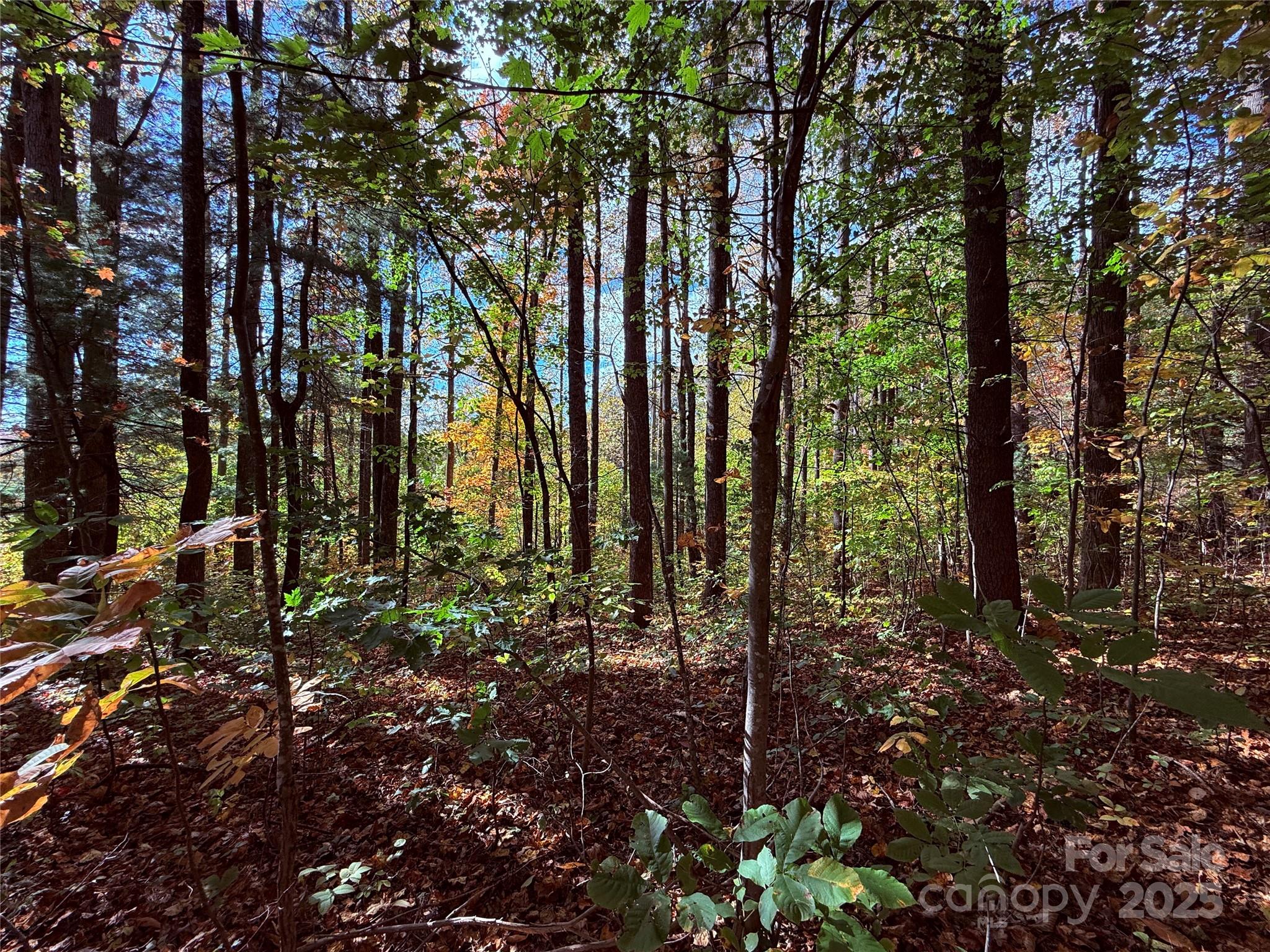 Kenmure - Land