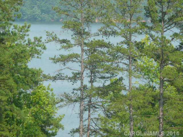 Wildlife Bay - Land