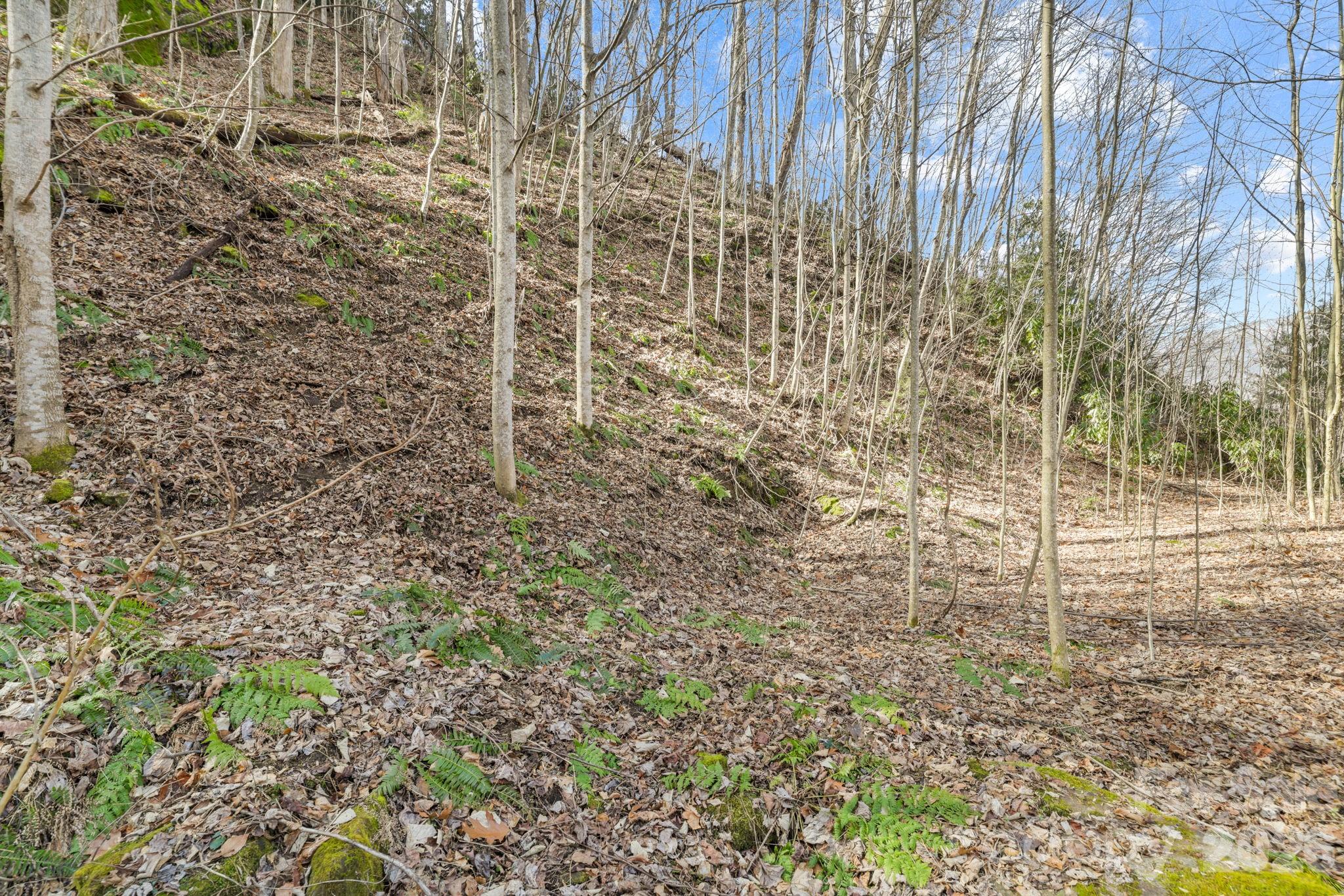 Sweeping year-round mountain views. Property is Priced below tax value!  Located in the desirable Maggie Valley Estates just outside of Maggie Valley town limits. Enjoy all that Maggie Valley has to offer without town taxes. Property is centrally located across from Maggie Valley Fairgrounds. This subdivision allows short term rentals so come build you forever home or turn it into an investment property. City water and sewer taps are available. This area gets Spectrum internet.