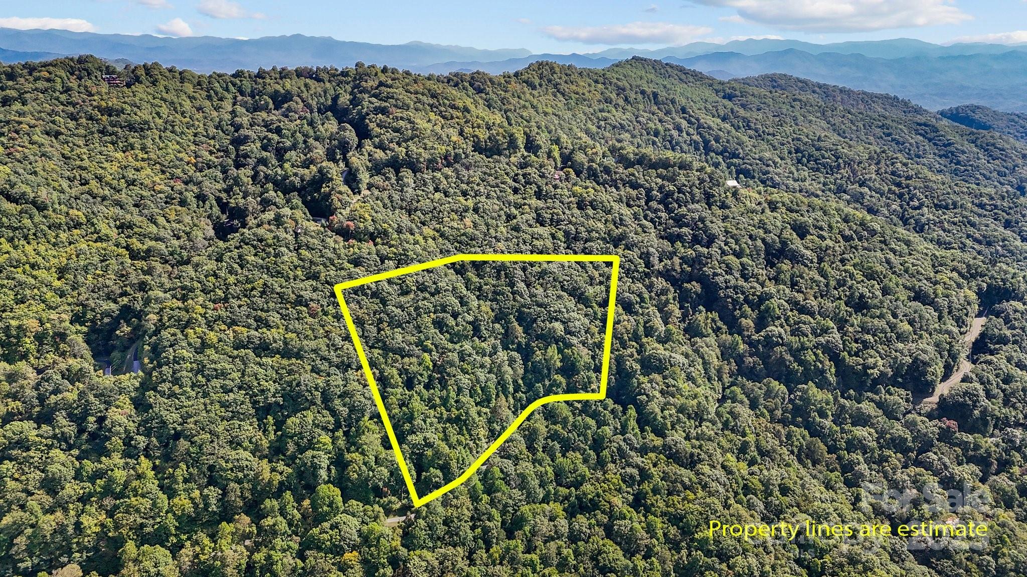 ***IMPROVED PRICE****Enchanting 4.63 acres of wooded raw land tucked away in the gated community of Brush Creek Mountain in Bryson City, NC. With incredible views, anyone looking to establish their home in the WNC, will have ample opportunity to customize their privacy while prepping the land to build. Highly desired vacation area for all things outdoors, wonderful local dining, and a short drive to the most beautiful spots in WNC. HOA dues are scheduled to increase 10%/year for unimproved lots.