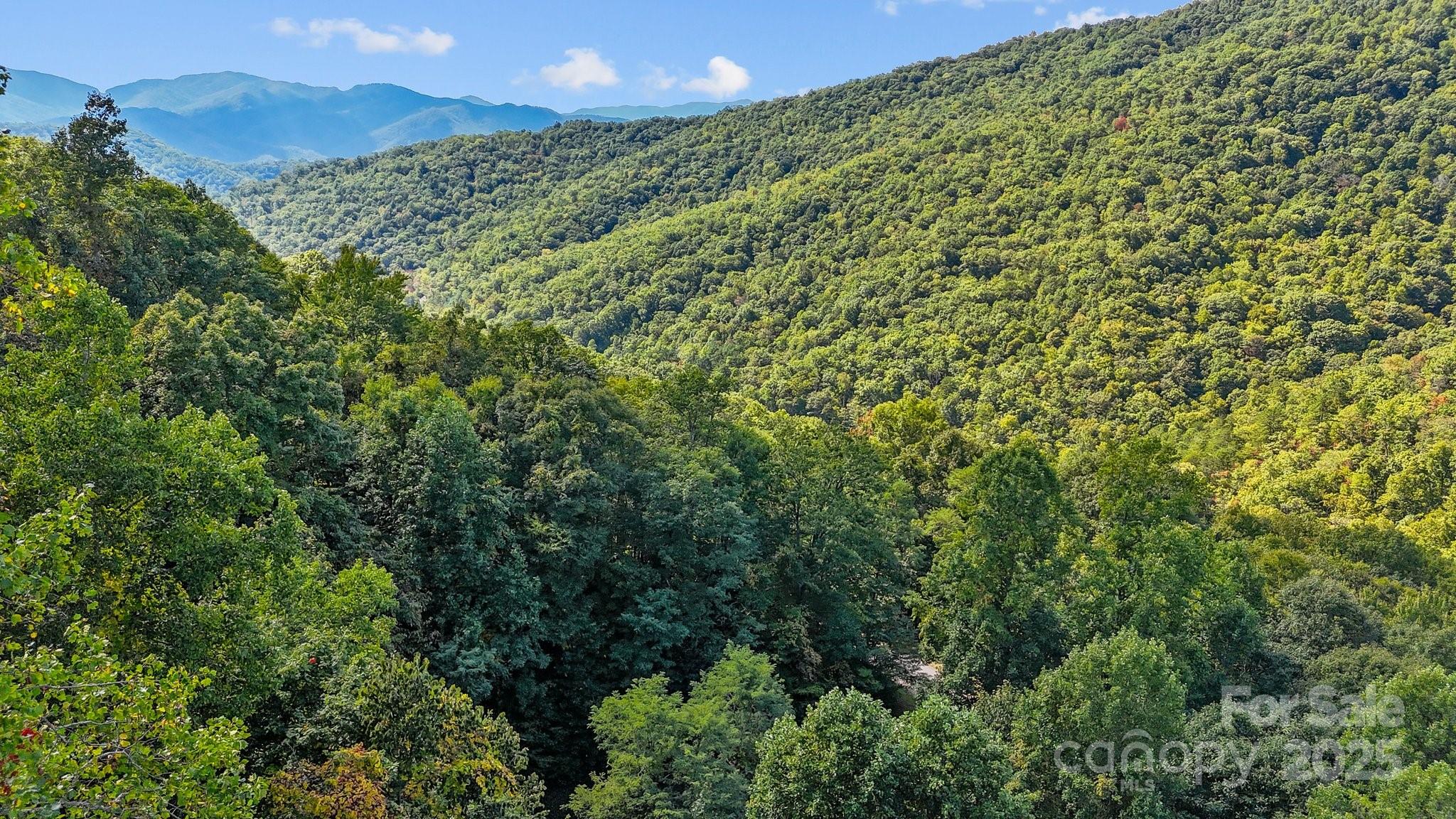Brush Creek Properties - Land