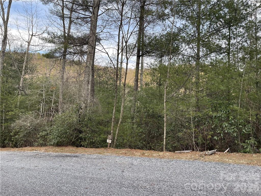 Welcome to 55 Boone Cove Road! This beautiful property is located in the pristine Pinnacle Falls community of Zirconia. The neighborhood features hiking trails, waterfalls, a community clubhouse and relaxing pool; making this the perfect place for your next home. Amazing views of the mountains and nature at it's finest await! Come see it today!