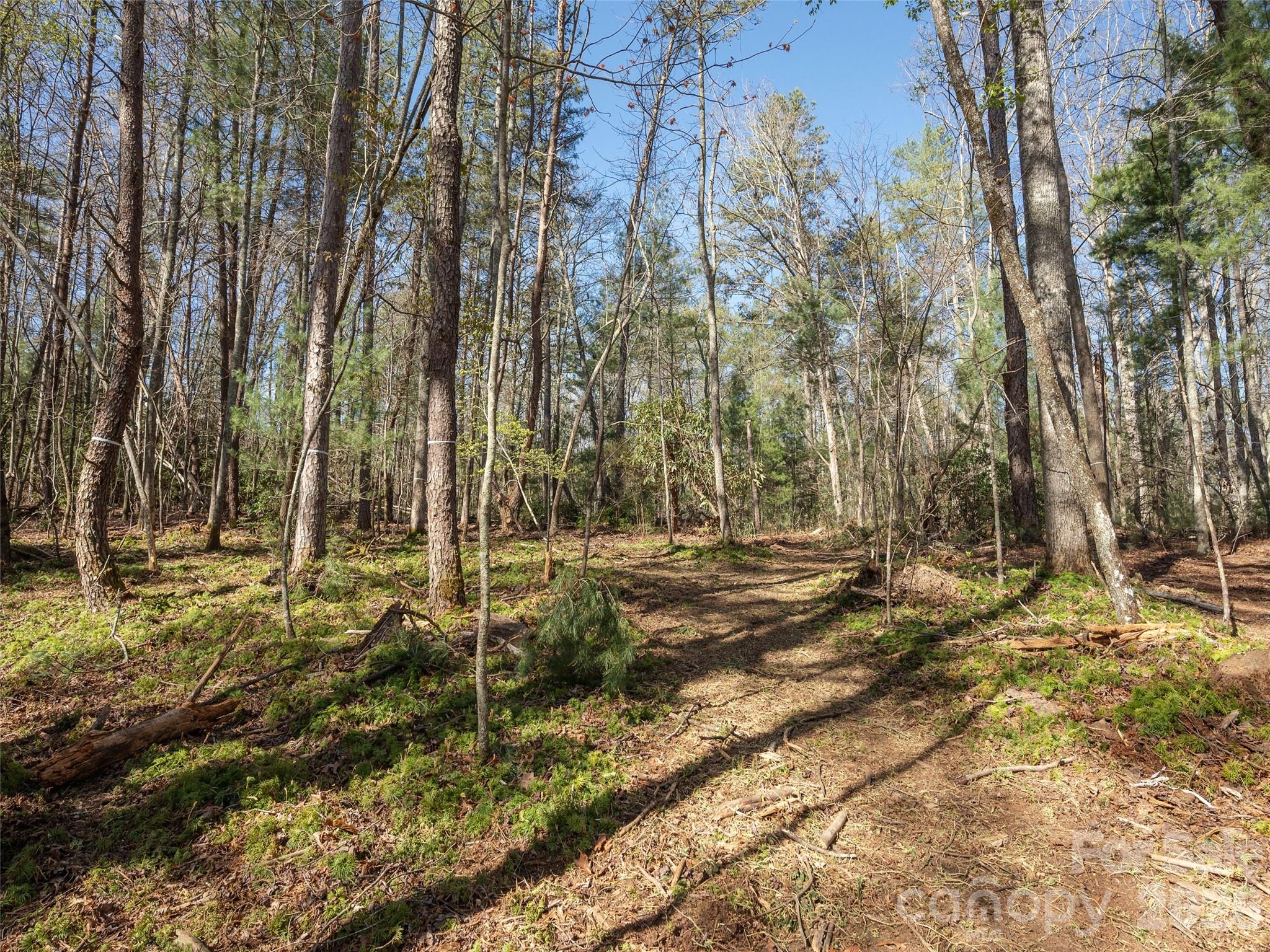 Wonderful opportunity in desirable Drovers Road Preserve community in Fairview- a haven for those seeking a luxury build and who feel called to the natural beauty of Western NC! This "Woodland Lot" in the lower section of Drover's Road Preserve has recently been under brushed, making it an easy walk to the potential homesite which offers a great, easy build opportunity in this luxury community. At the back of the property, enjoy access to the 5+ miles of private, cut trails for the enjoyment of its residents with mindfulness at its heart: there are 110 acres of protected lands in conservation easements. Build your luxury dream home on this gorgeous site and encounter the magic of Drovers Road Preserve! Immerse yourself in the beauty of this gorgeous community with historic roots. Visit https://www.droversroad.com for more information on this exquisite community.