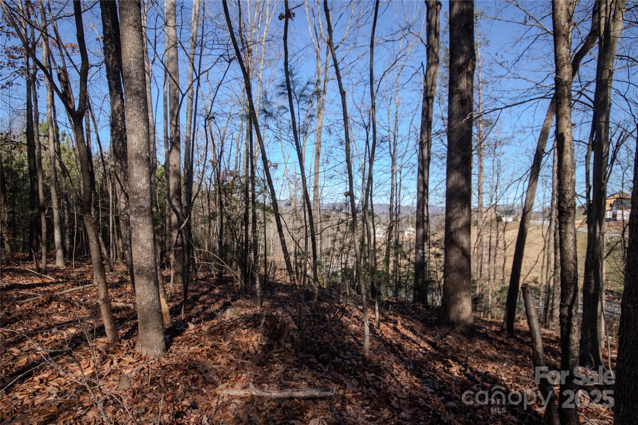 Huntington Woods North - Land