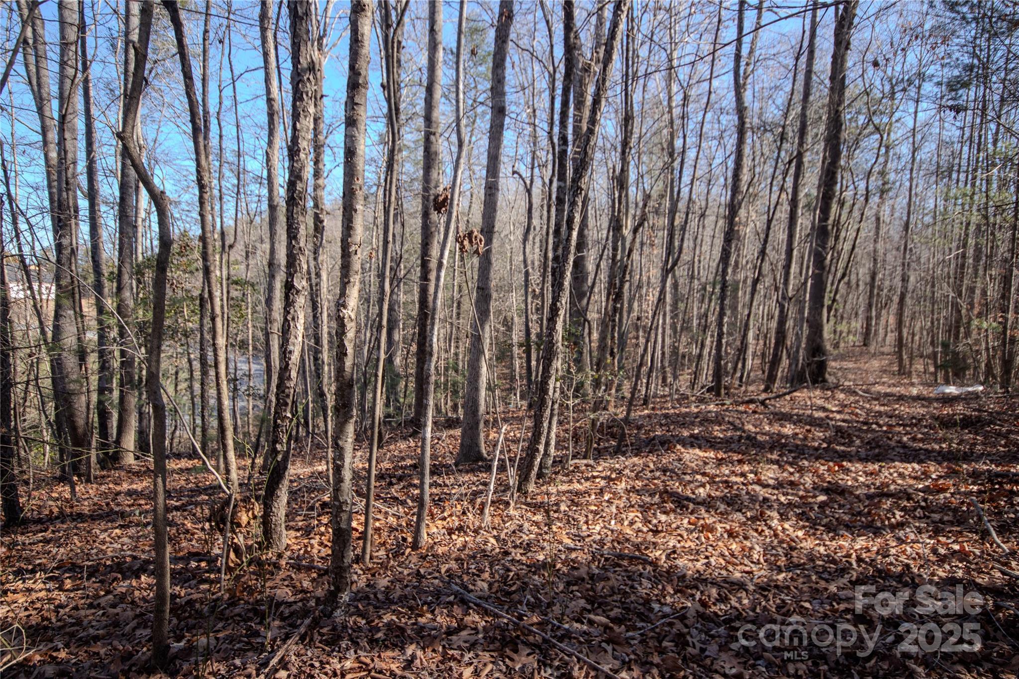 Huntington Woods North - Land