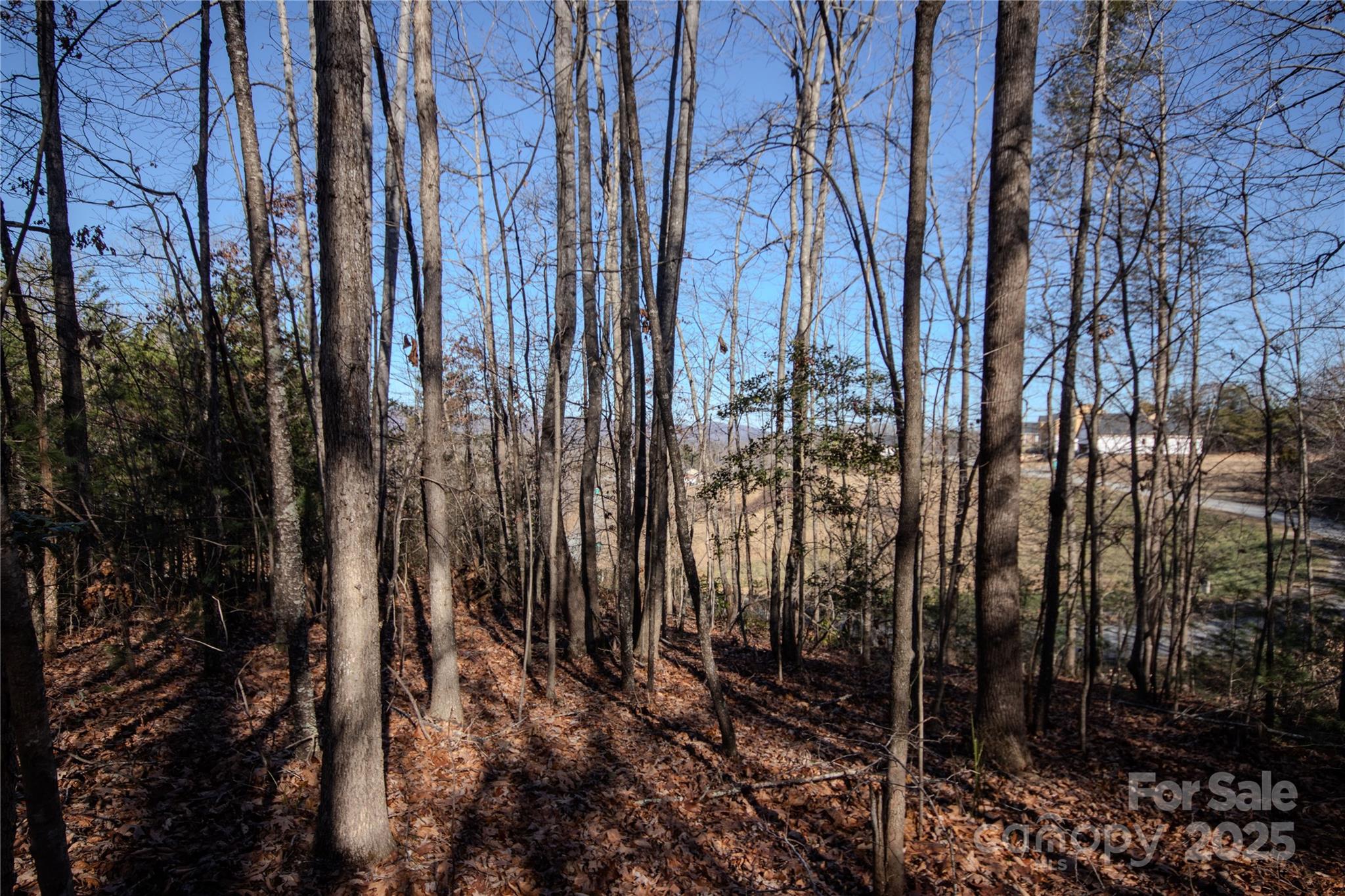 Huntington Woods North - Land