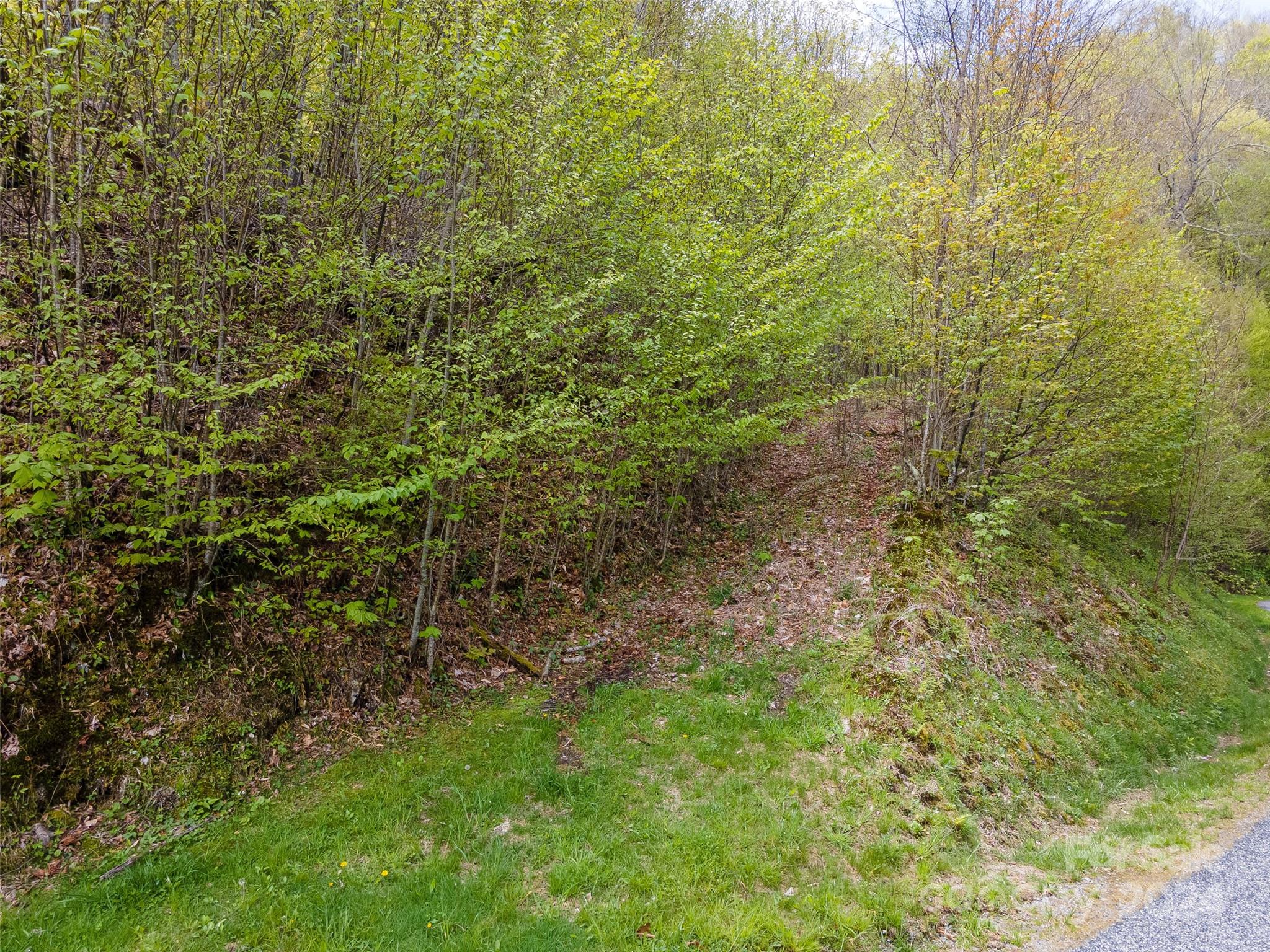 Wolf Laurel - Land