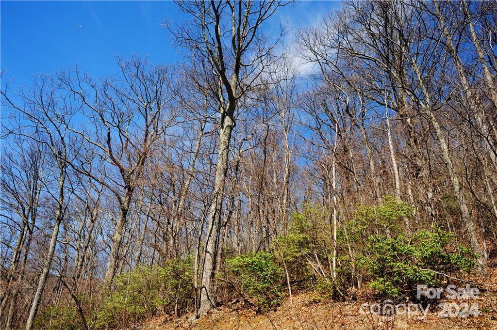 Premier building lot in Laurel Ridge with fantastic, year-round mountain views! Lot has expired 3 bedroom septic permit. Best driveway approach for lot starts on the right side of the property off of Wedgewood. Priced at tens of thousands of dollars below tax value, this lot is an incredible deal! Upscale, gated Laurel Ridge is a community of 90+ executive homes situated in an idyllic setting. Laurel Ridge features underground utilities, community water system, paved roads, fire substation, community center, and abundant wildlife. 10 min. to Black Mountain; 15 min. to I-40. Won't last, come see this lot today!