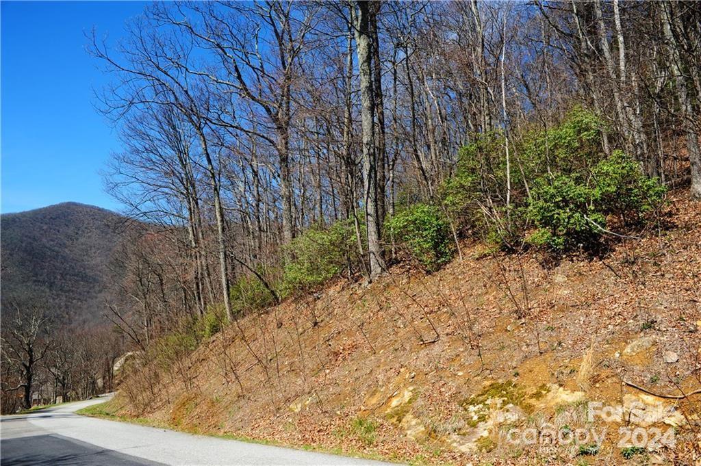 Laurel Ridge - Land