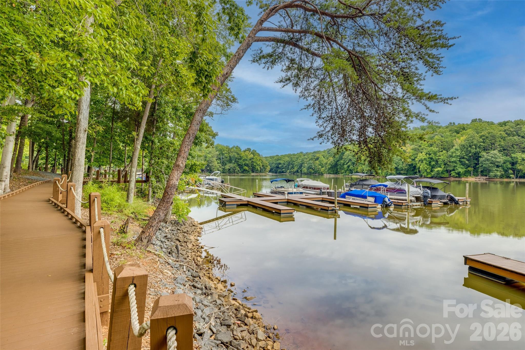 The Vineyards on Lake Wylie - Residential