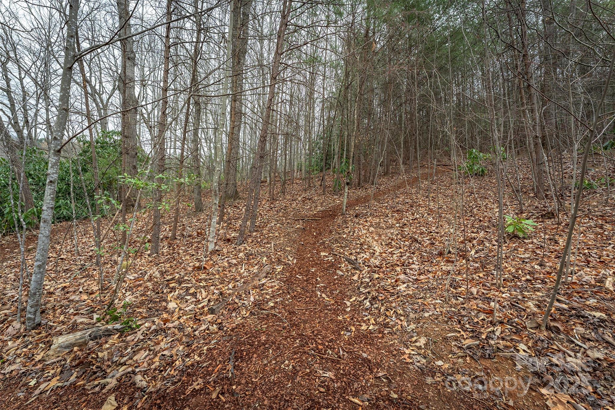 Hunting Lodge Acres - Land