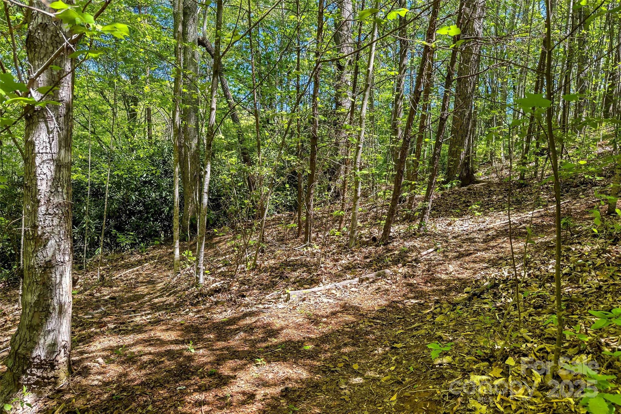Located in beautiful Black Mountain in Hunting Lodge Acres .65 acre lot that has access to water and sewer (buyer to confirm), as well as a house site already in place. Close to town, gently sloping lot, easy access.