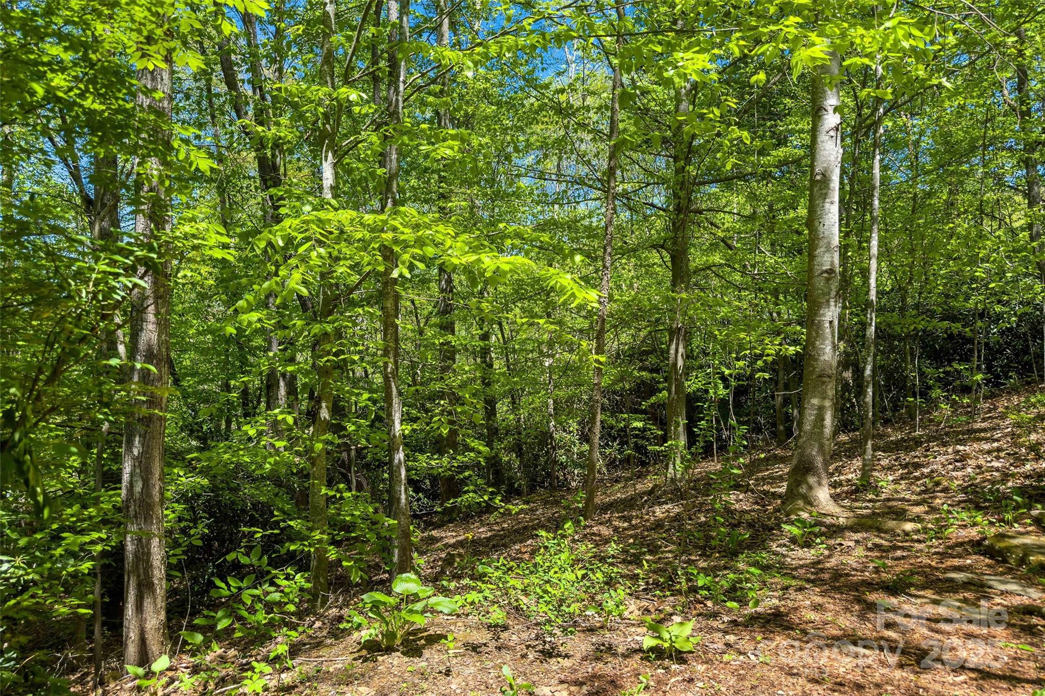 Hunting Lodge Acres - Land