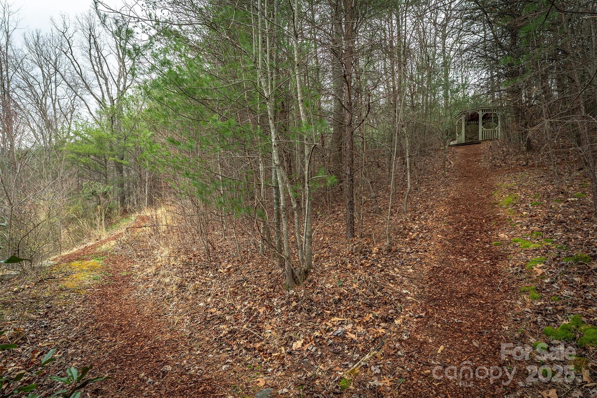 Hunting Lodge Acres - Land