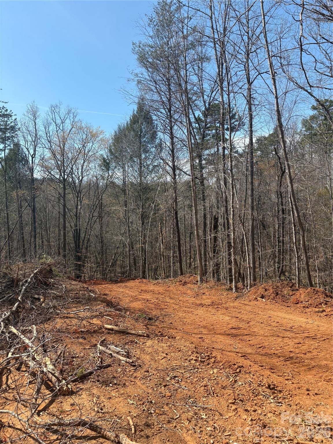 Beautiful wooded acreage with rolling terrain and a peaceful natural setting. This private tract offers a great mix of mature hardwoods, open cleared areas, and gentle slopes ideal for a future homesite . Enjoy mountain-style views, abundant wildlife, and plenty of space to explore while still being convenient to nearby amenities. A rare opportunity to own land with endless potential!