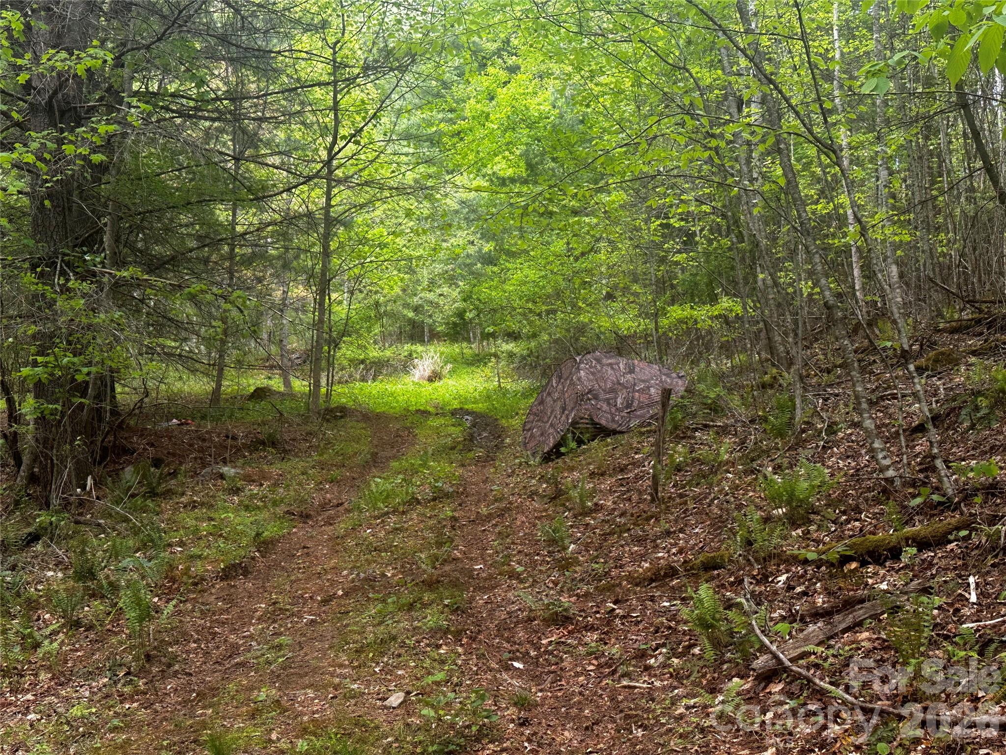Private 4 acre parcel! This site is just waiting for you to come and enjoy those beautiful mountain summers, with a little grade work it will be ready to bring your camper and start enjoying immediately those cool mountain summer evenings by the campfire. This homesite will be perfect for either a year round home or a mountain getaway cabin. With 4 acres to work with it will give you the space to enjoy how life should be. This site won't last long.. so come see today..