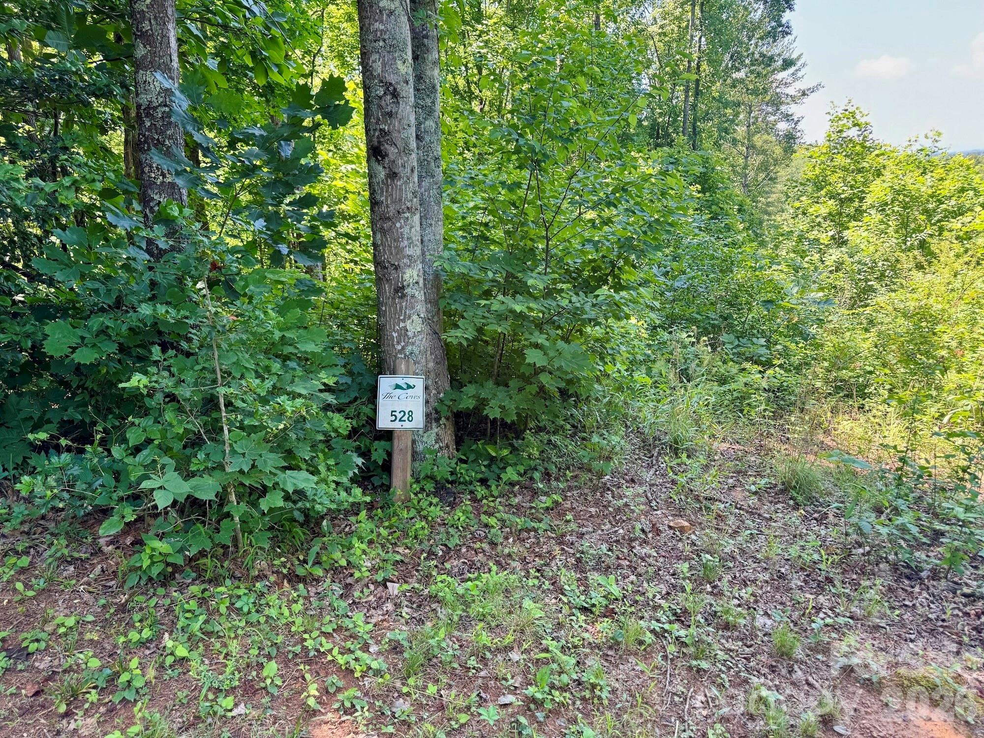 The Coves Mountain River Club - Land