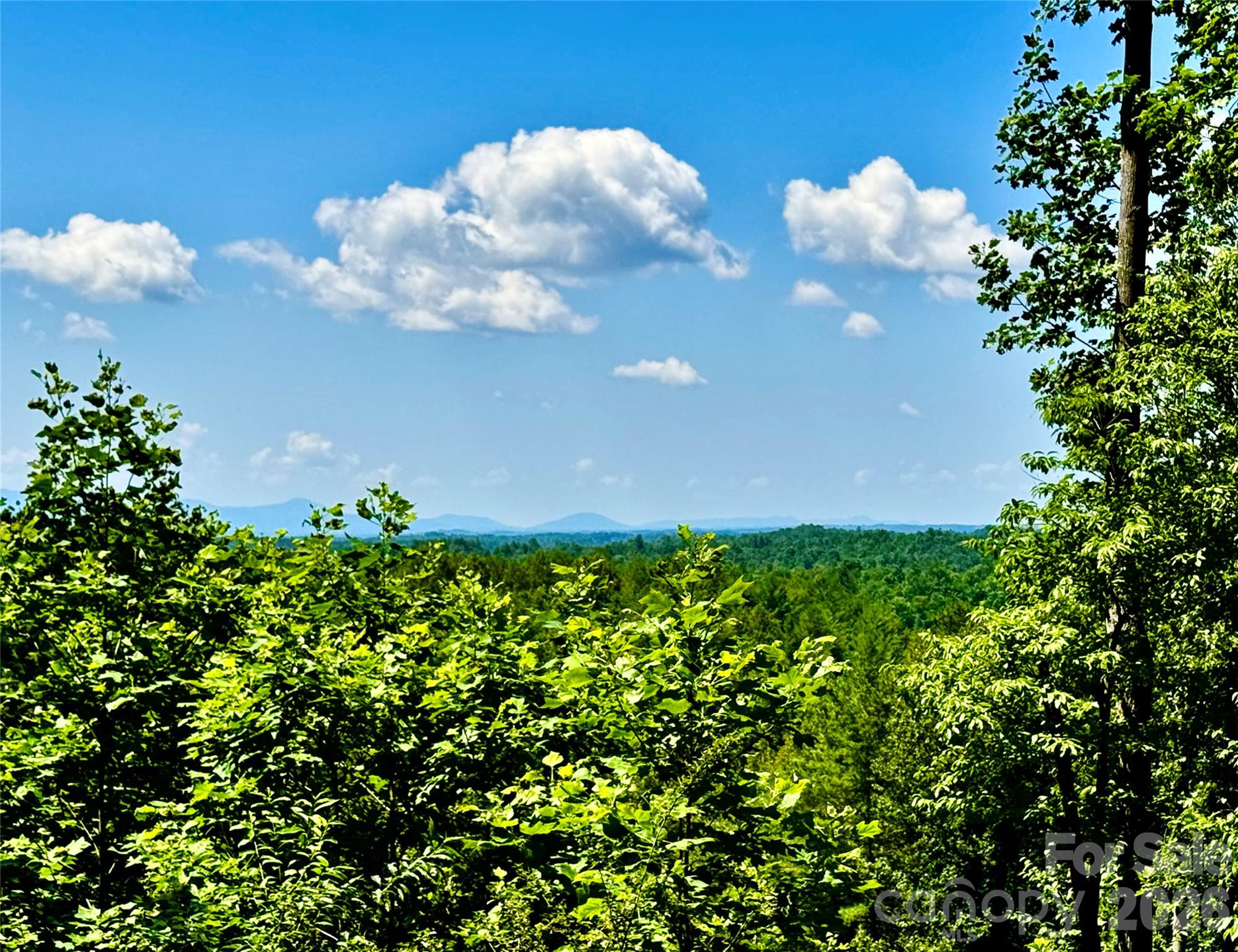 The Coves Mountain River Club - Land