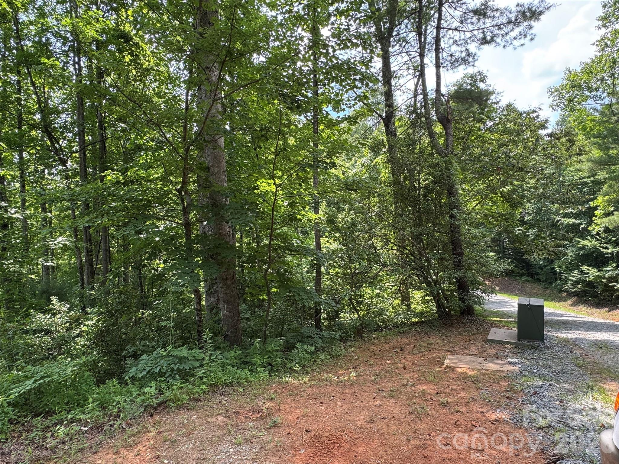 The Coves Mountain River Club - Land